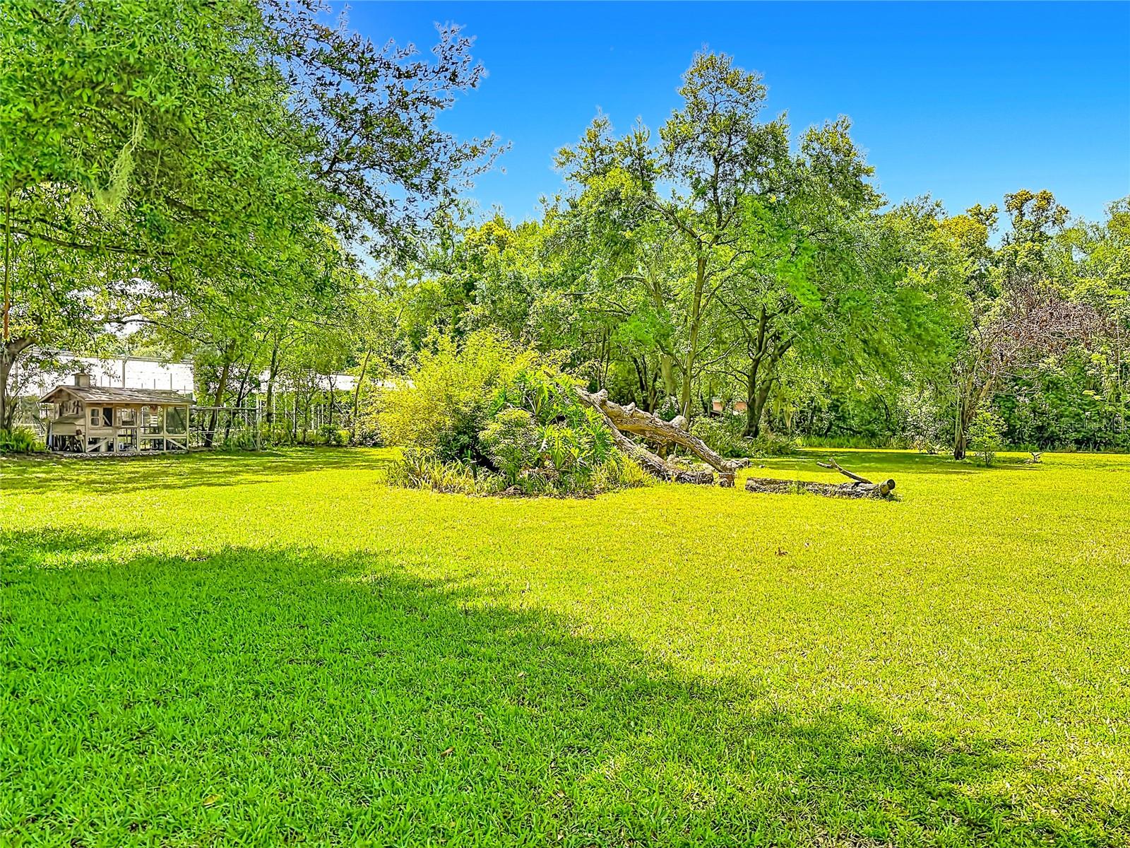 7400 LAKE MARNI CT, MOUNT DORA, FL, 32757