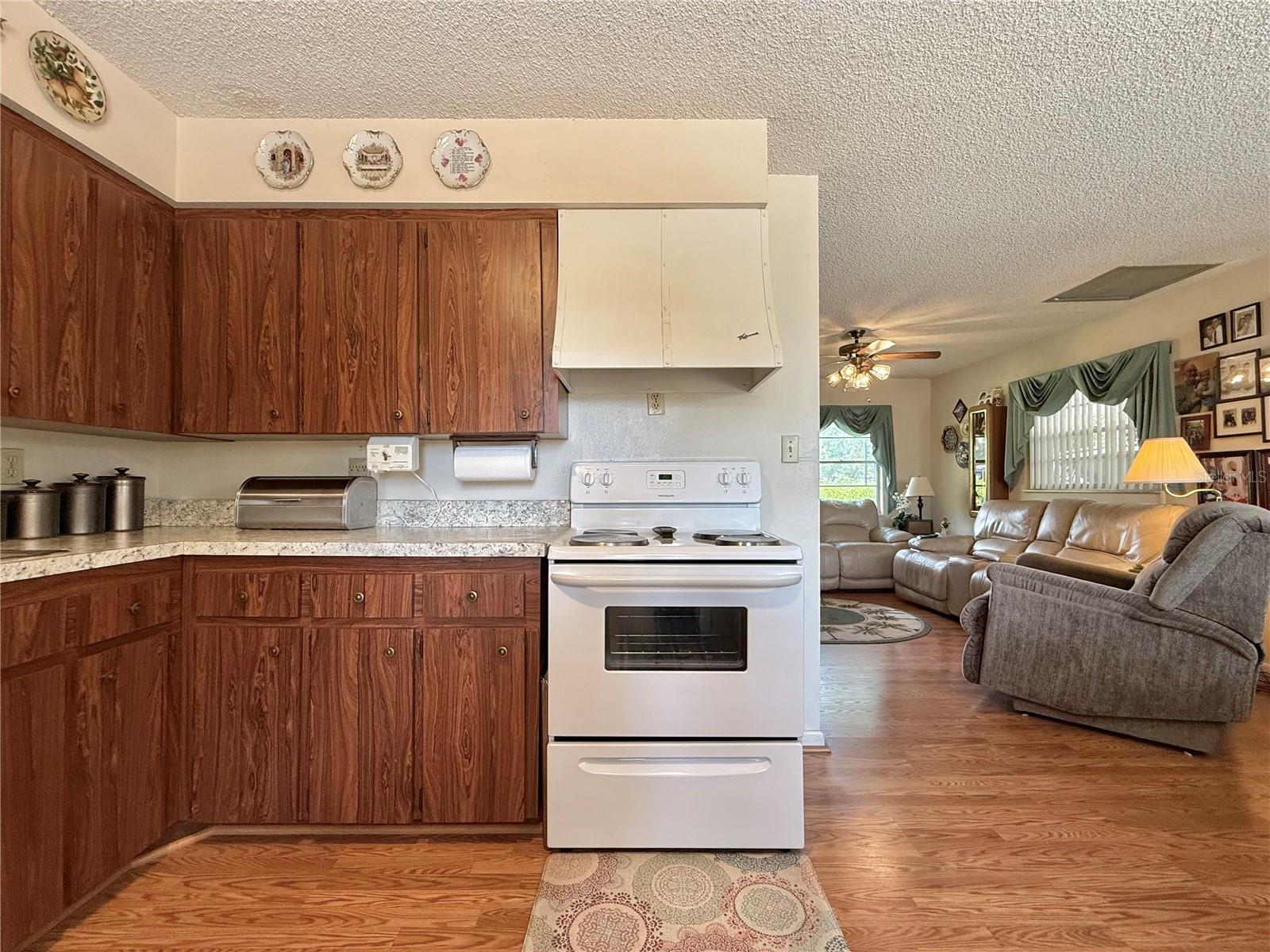 131 WILLOW ST, LAKE WALES, FL, 33859
