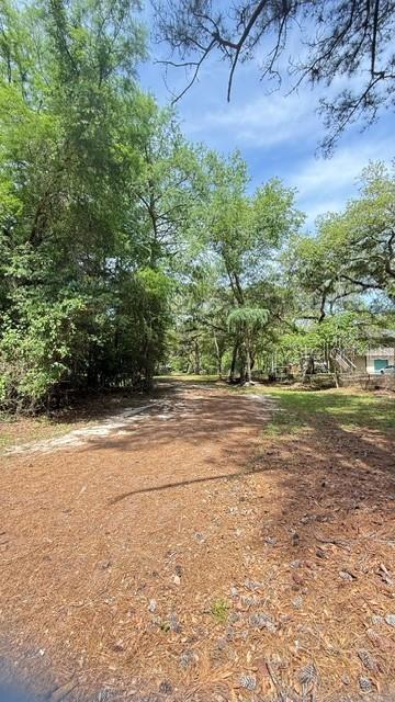 2905 CREEK ST, MIDDLEBURG, FL, 32068