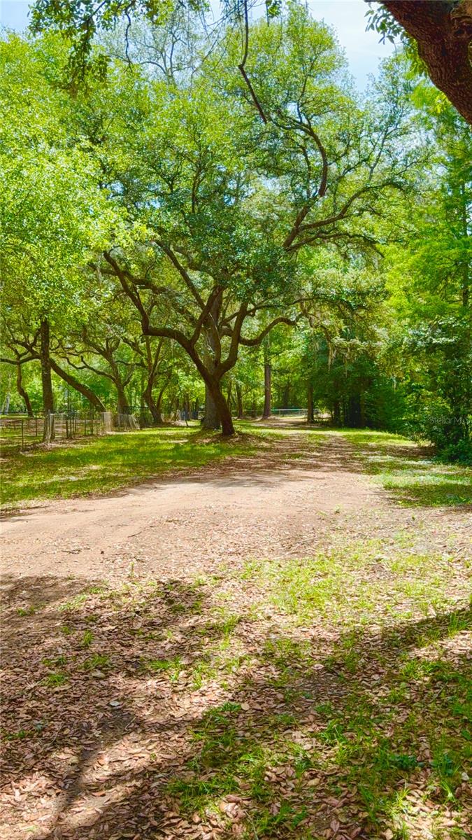 2905 CREEK ST, MIDDLEBURG, FL, 32068