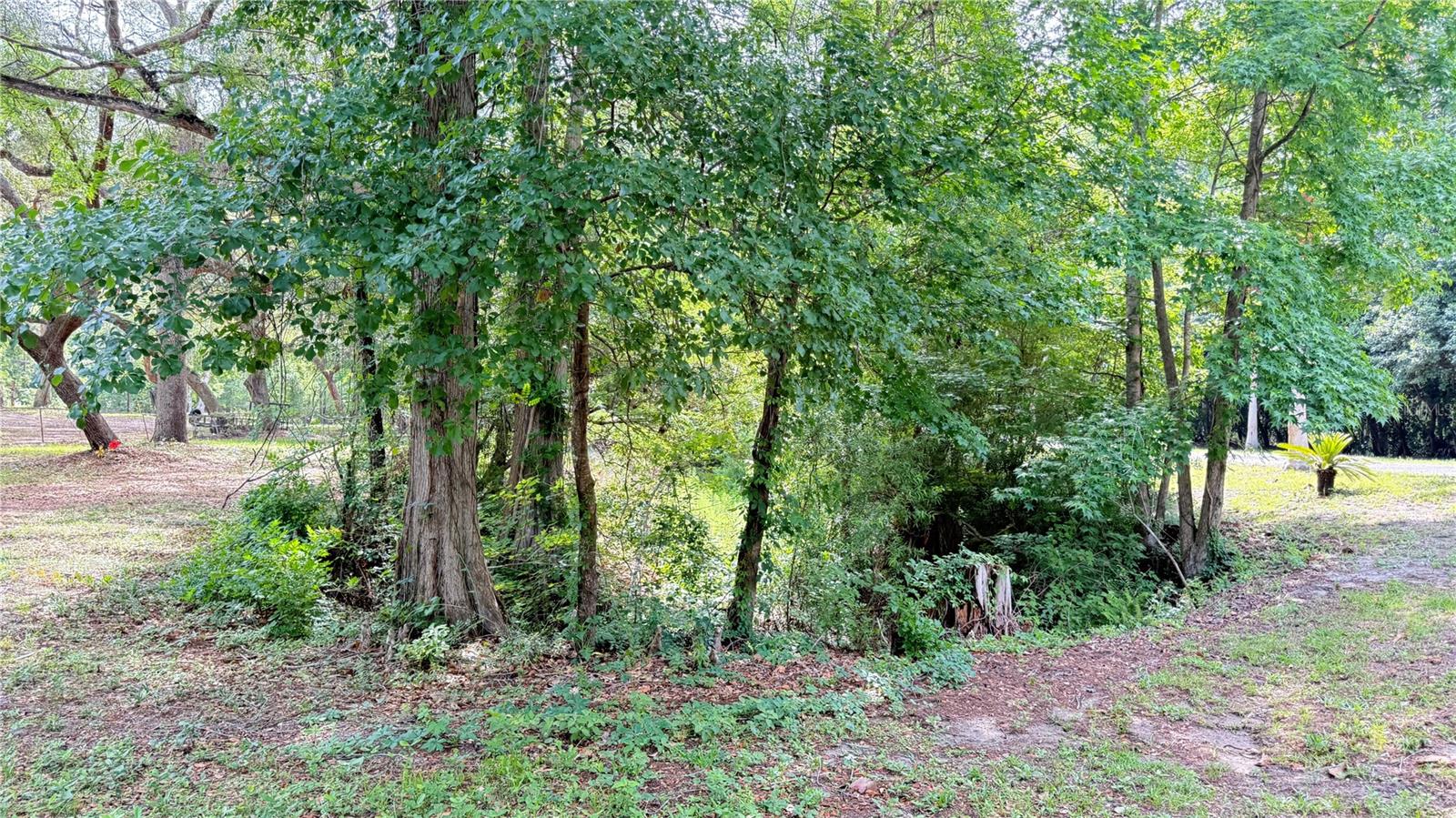 2905 CREEK ST, MIDDLEBURG, FL, 32068