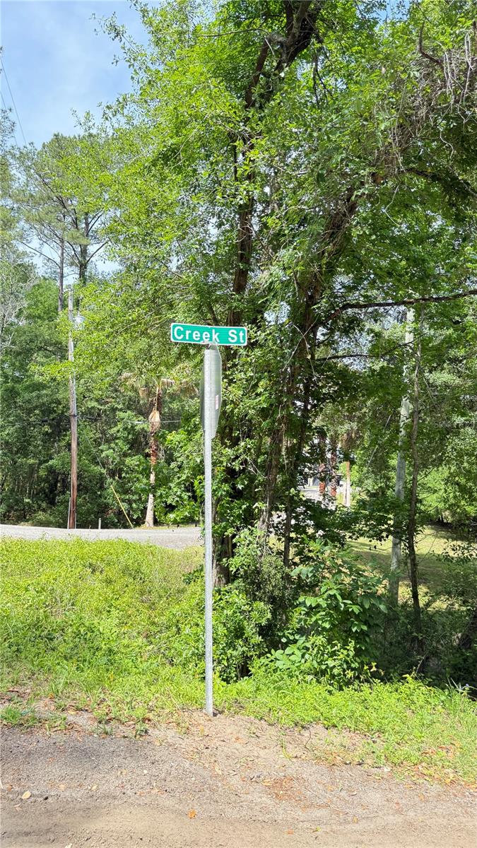 2905 CREEK ST, MIDDLEBURG, FL, 32068