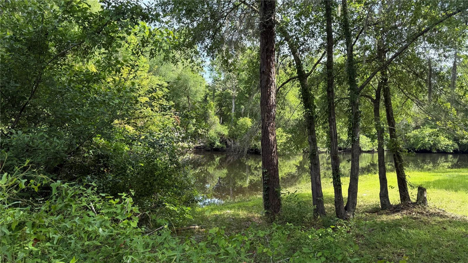 2905 CREEK ST, MIDDLEBURG, FL, 32068