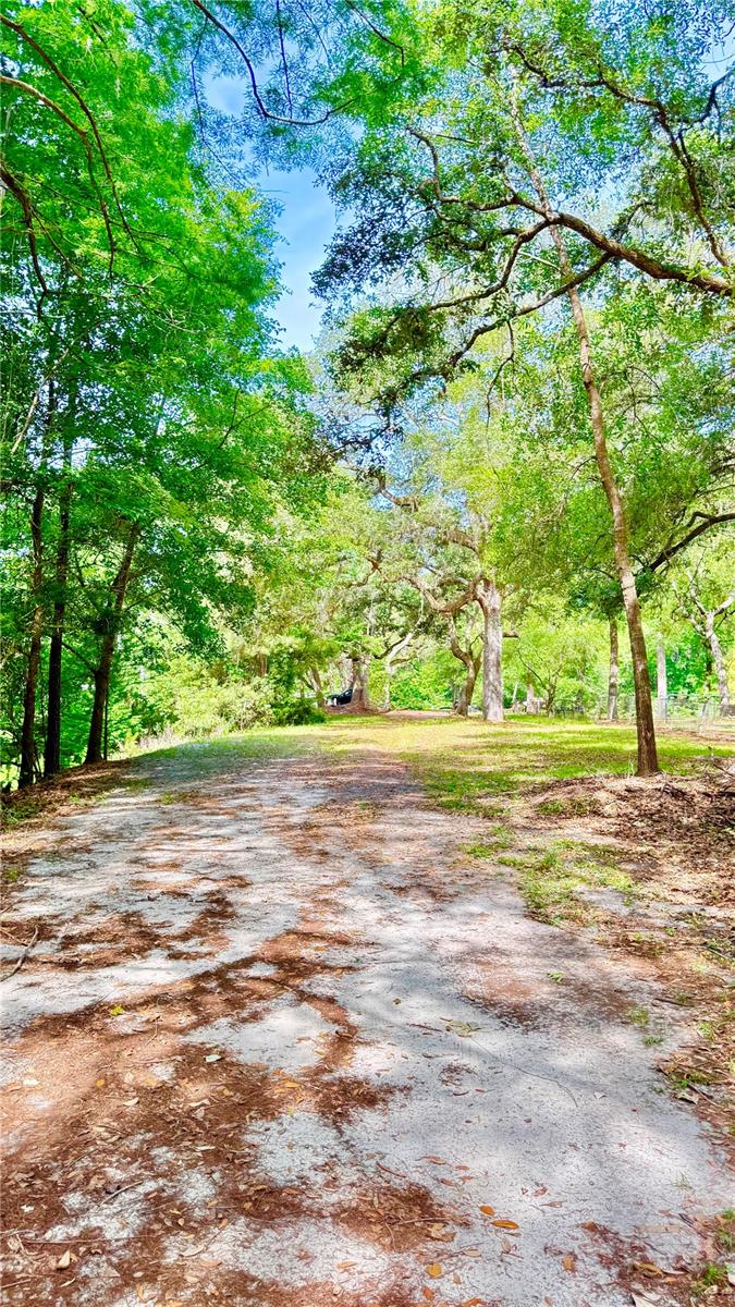 2905 CREEK ST, MIDDLEBURG, FL, 32068
