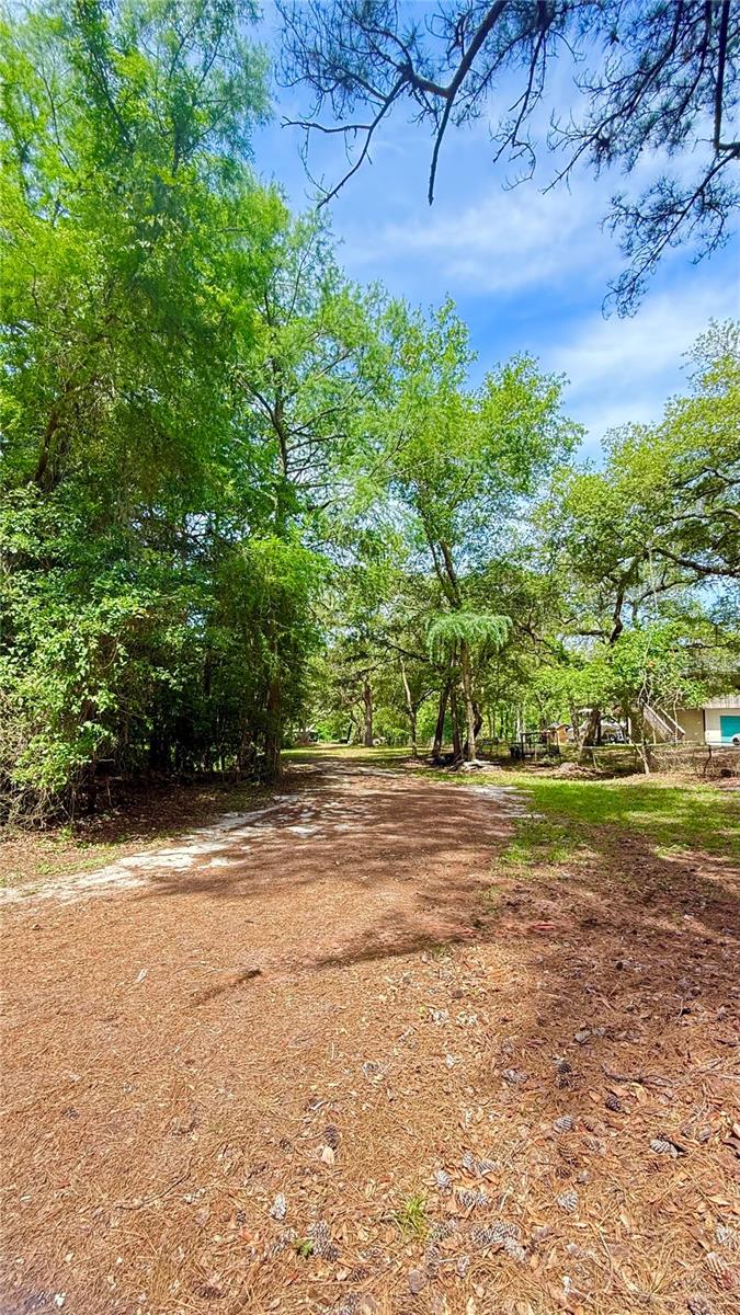 2905 CREEK ST, MIDDLEBURG, FL, 32068