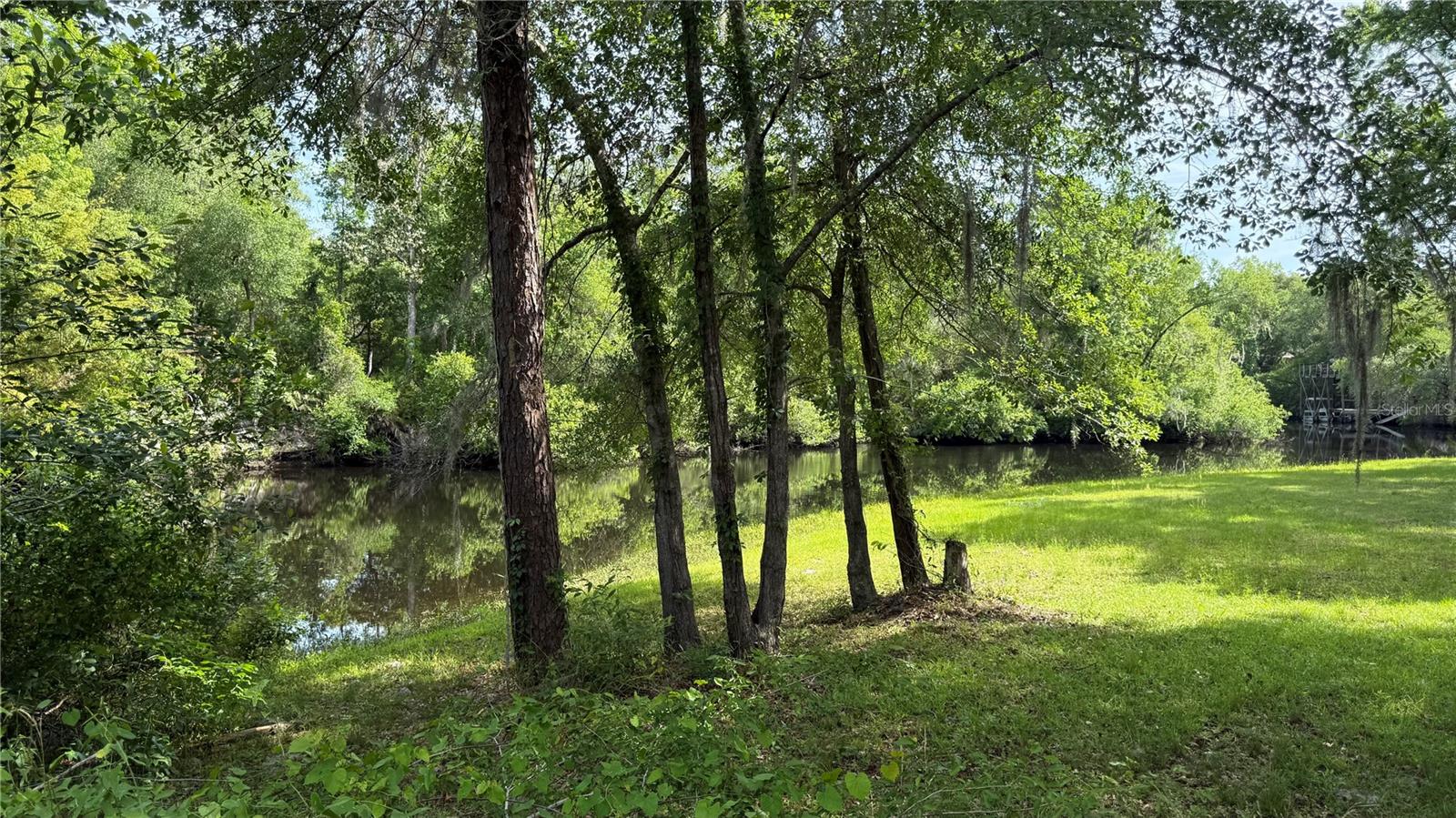 2905 CREEK ST, MIDDLEBURG, FL, 32068