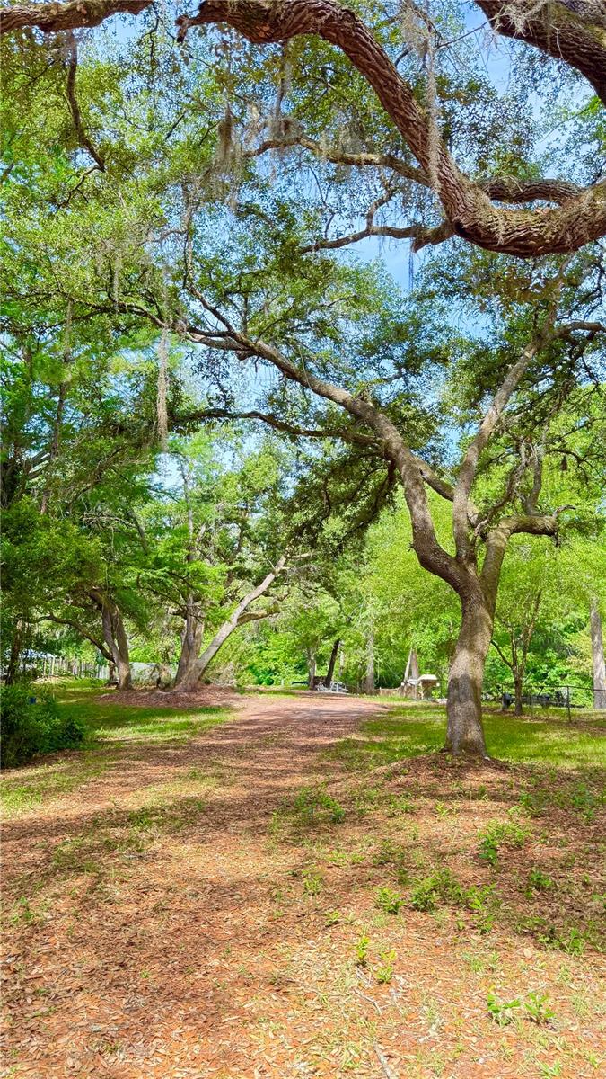 2905 CREEK ST, MIDDLEBURG, FL, 32068