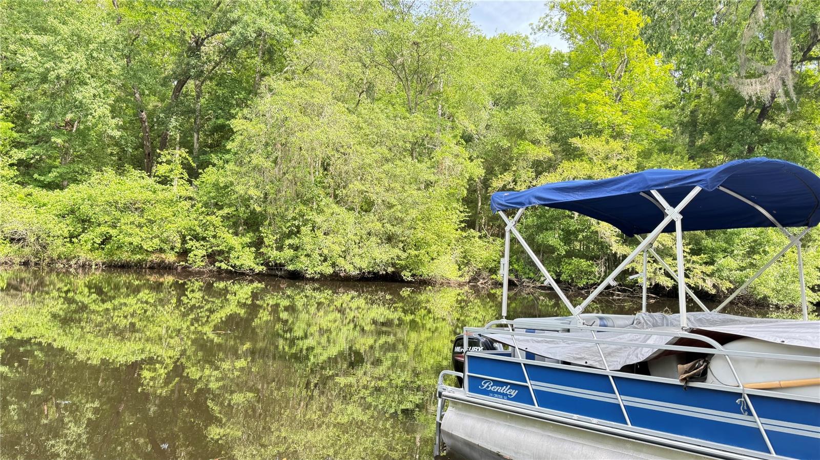2905 CREEK ST, MIDDLEBURG, FL, 32068
