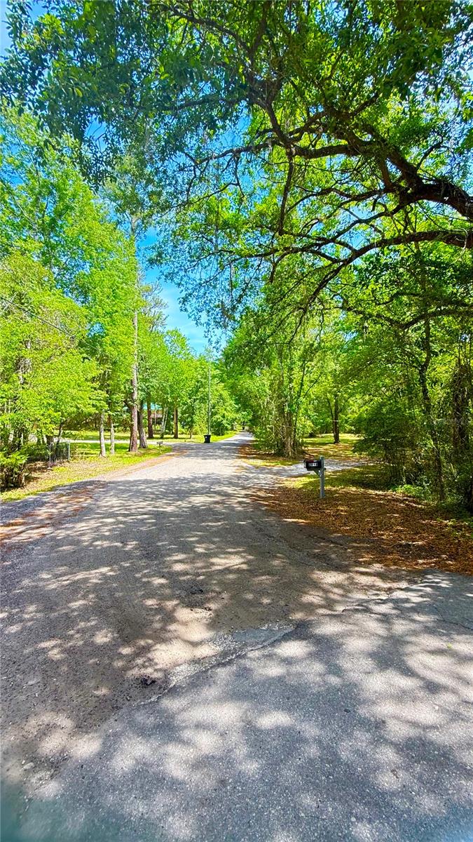 2905 CREEK ST, MIDDLEBURG, FL, 32068