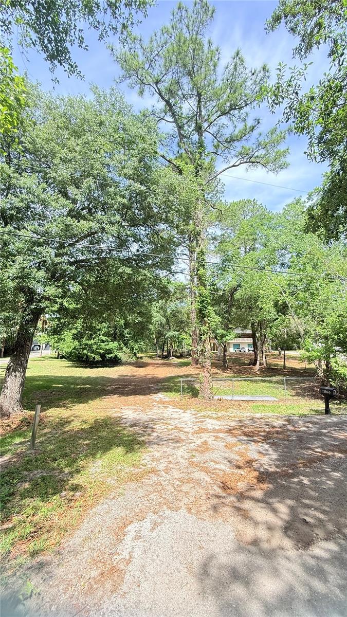 2905 CREEK ST, MIDDLEBURG, FL, 32068
