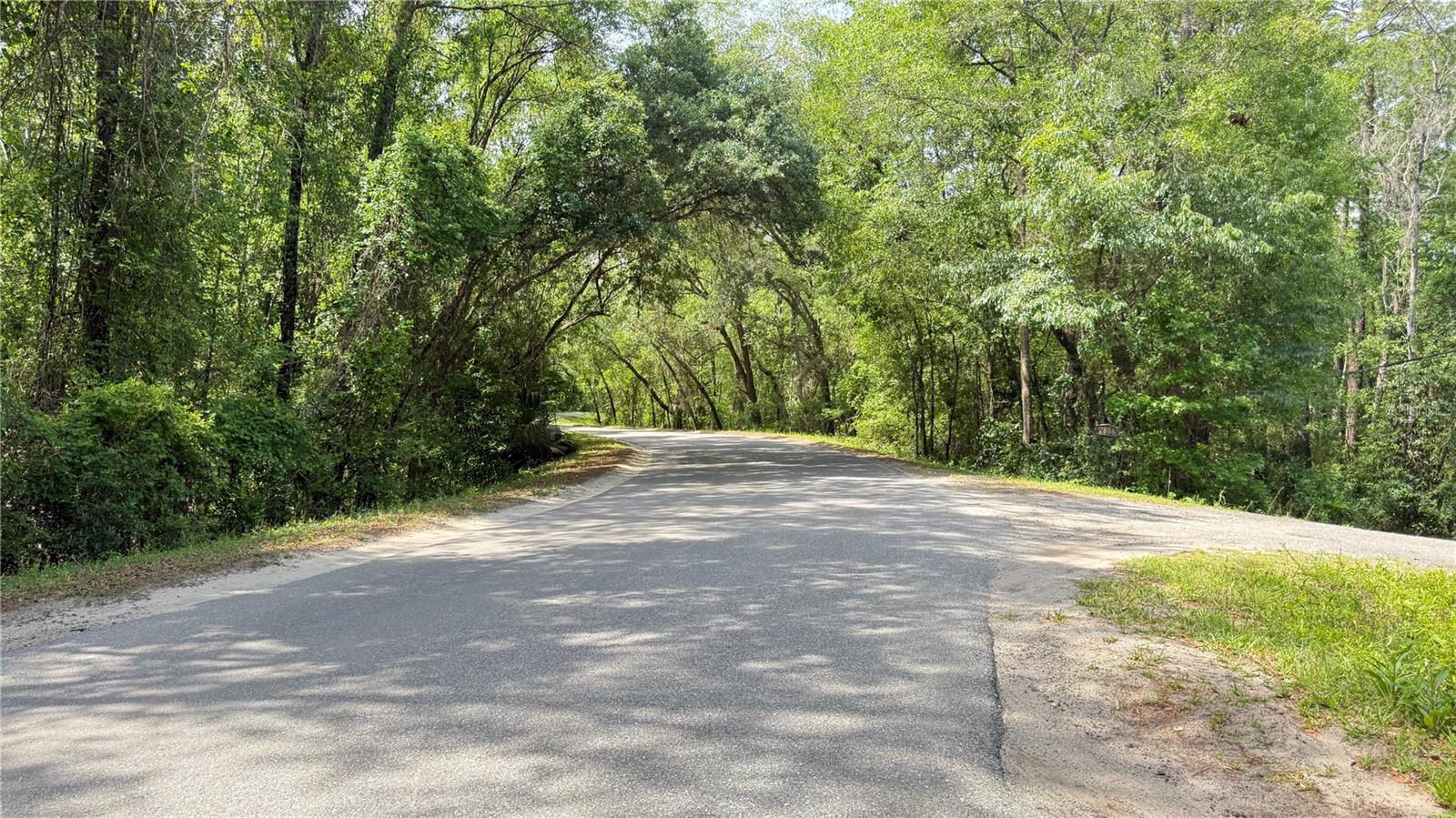 2905 CREEK ST, MIDDLEBURG, FL, 32068