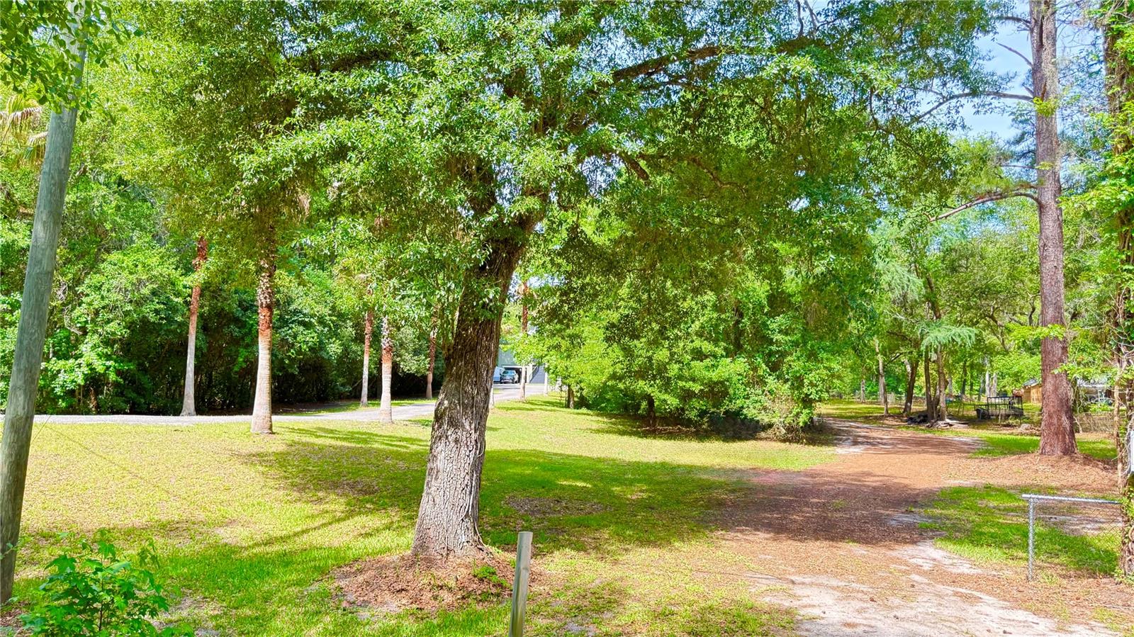 2905 CREEK ST, MIDDLEBURG, FL, 32068