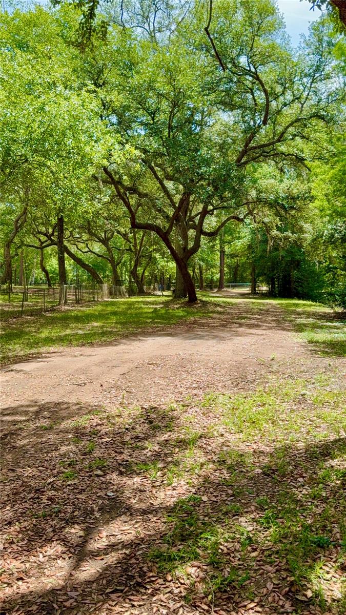 2905 CREEK ST, MIDDLEBURG, FL, 32068