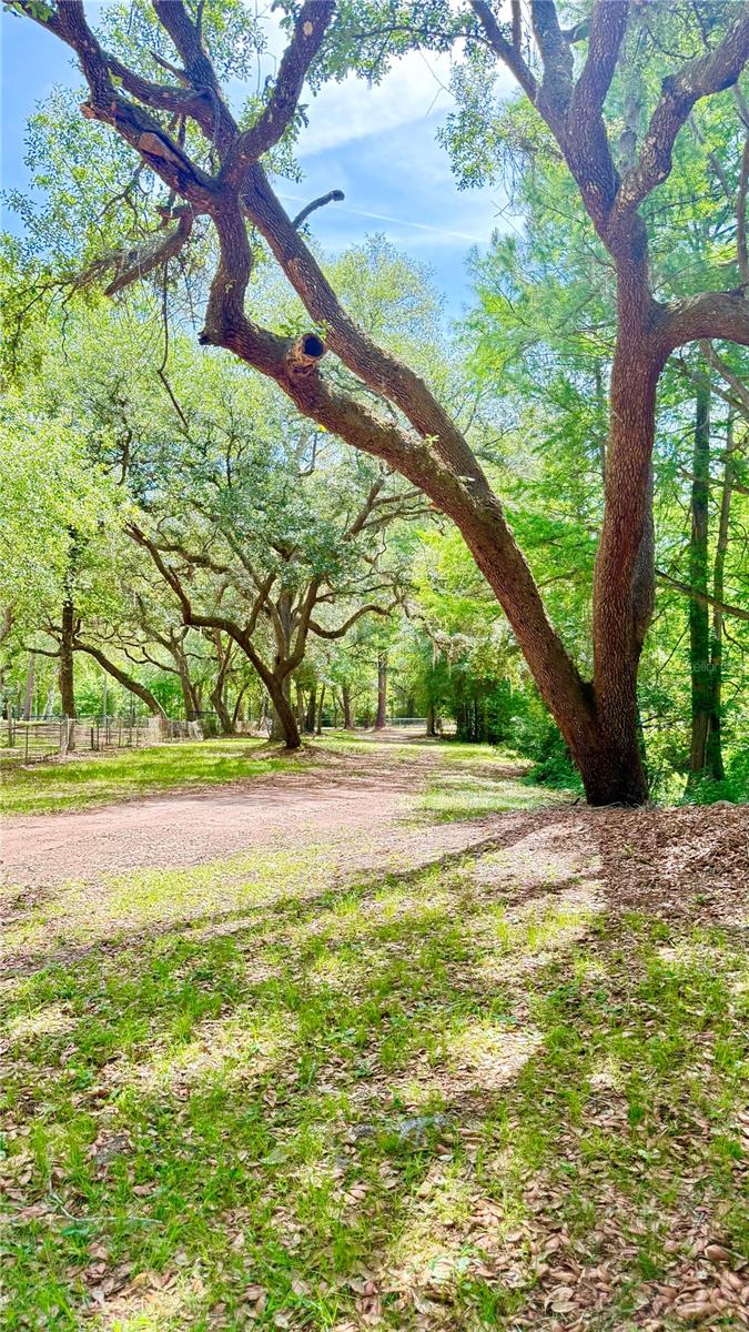 2905 CREEK ST, MIDDLEBURG, FL, 32068