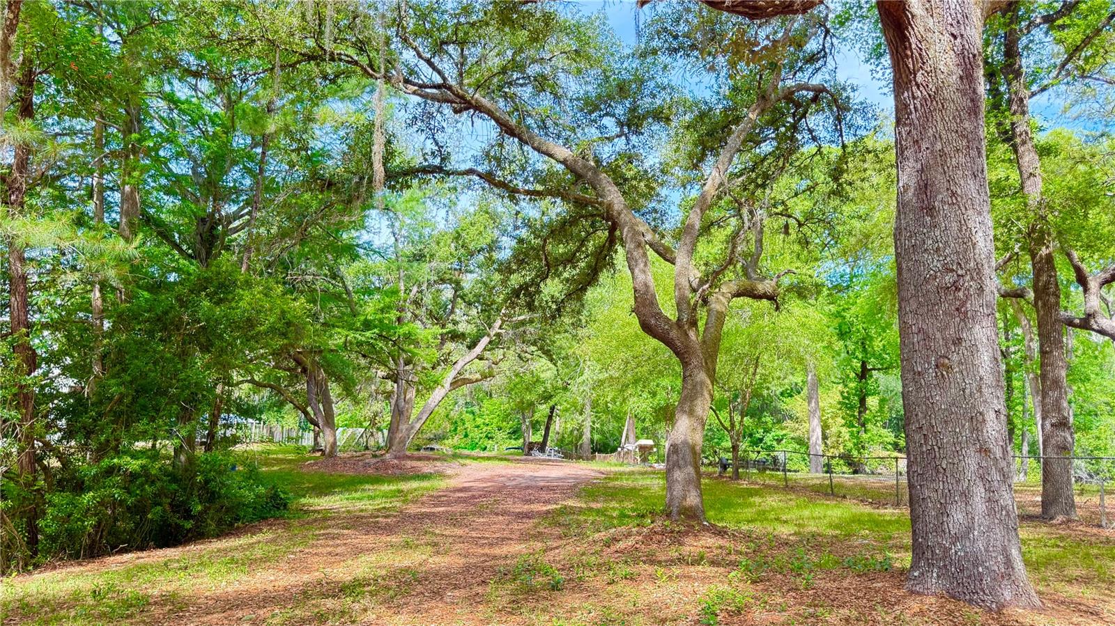2905 CREEK ST, MIDDLEBURG, FL, 32068