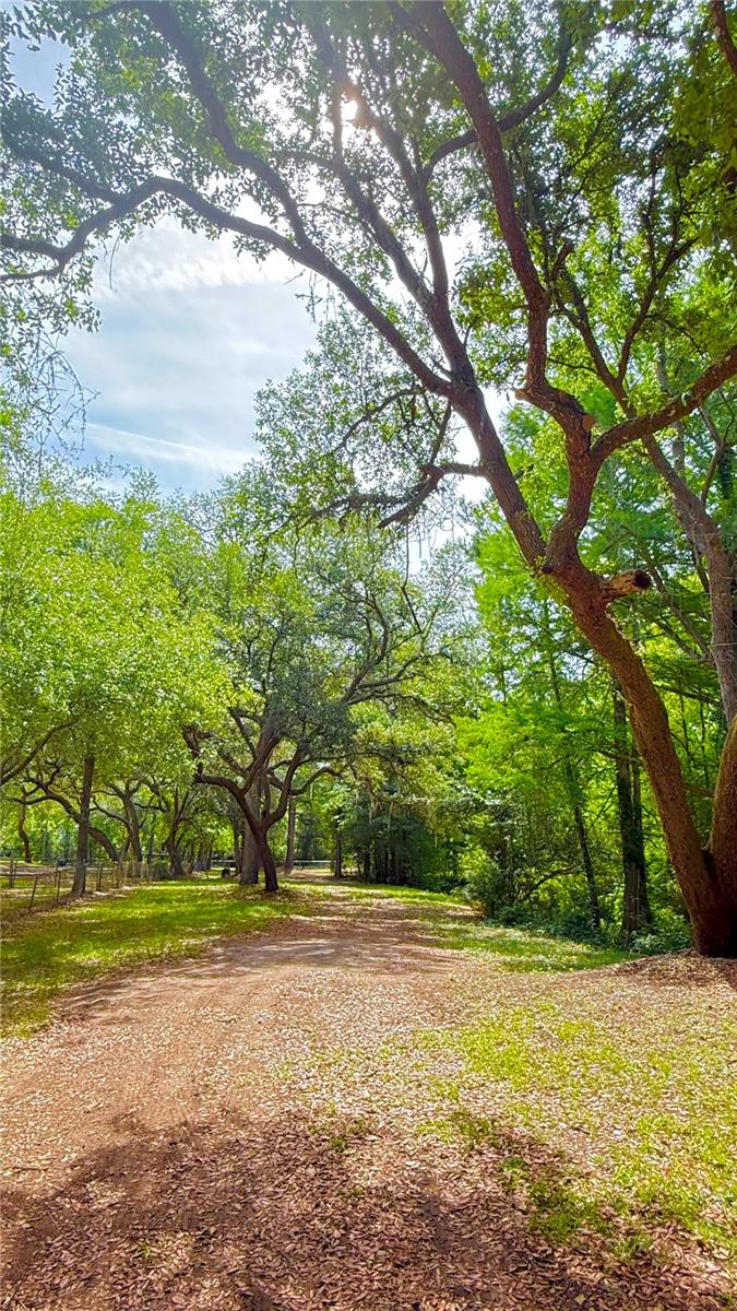 2905 CREEK ST, MIDDLEBURG, FL, 32068