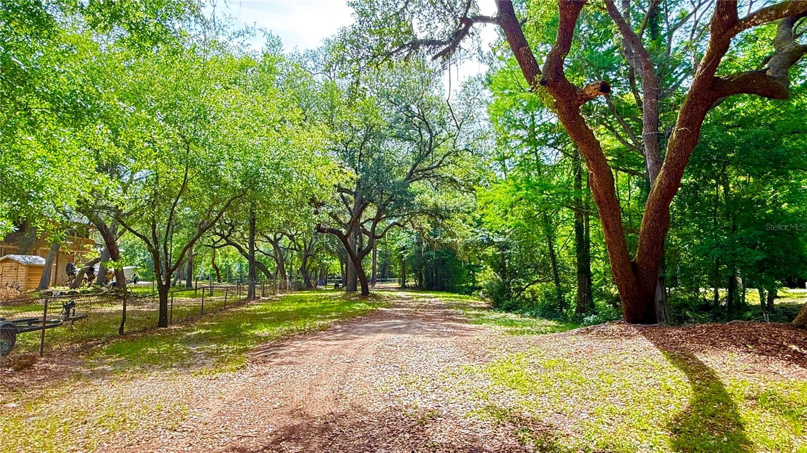 2905 CREEK ST, MIDDLEBURG, FL, 32068