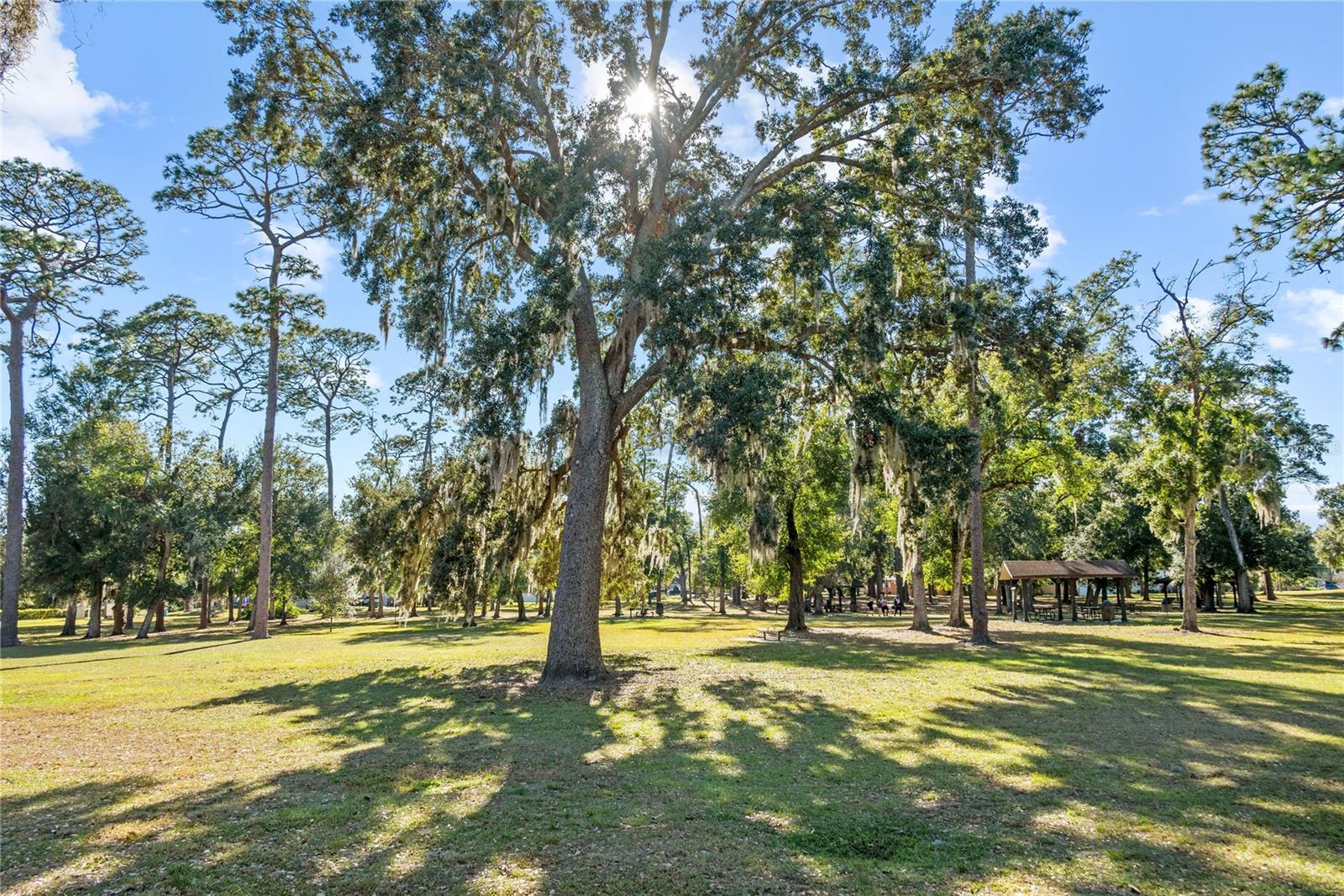 218 E HARDING ST, ORLANDO, FL, 32806