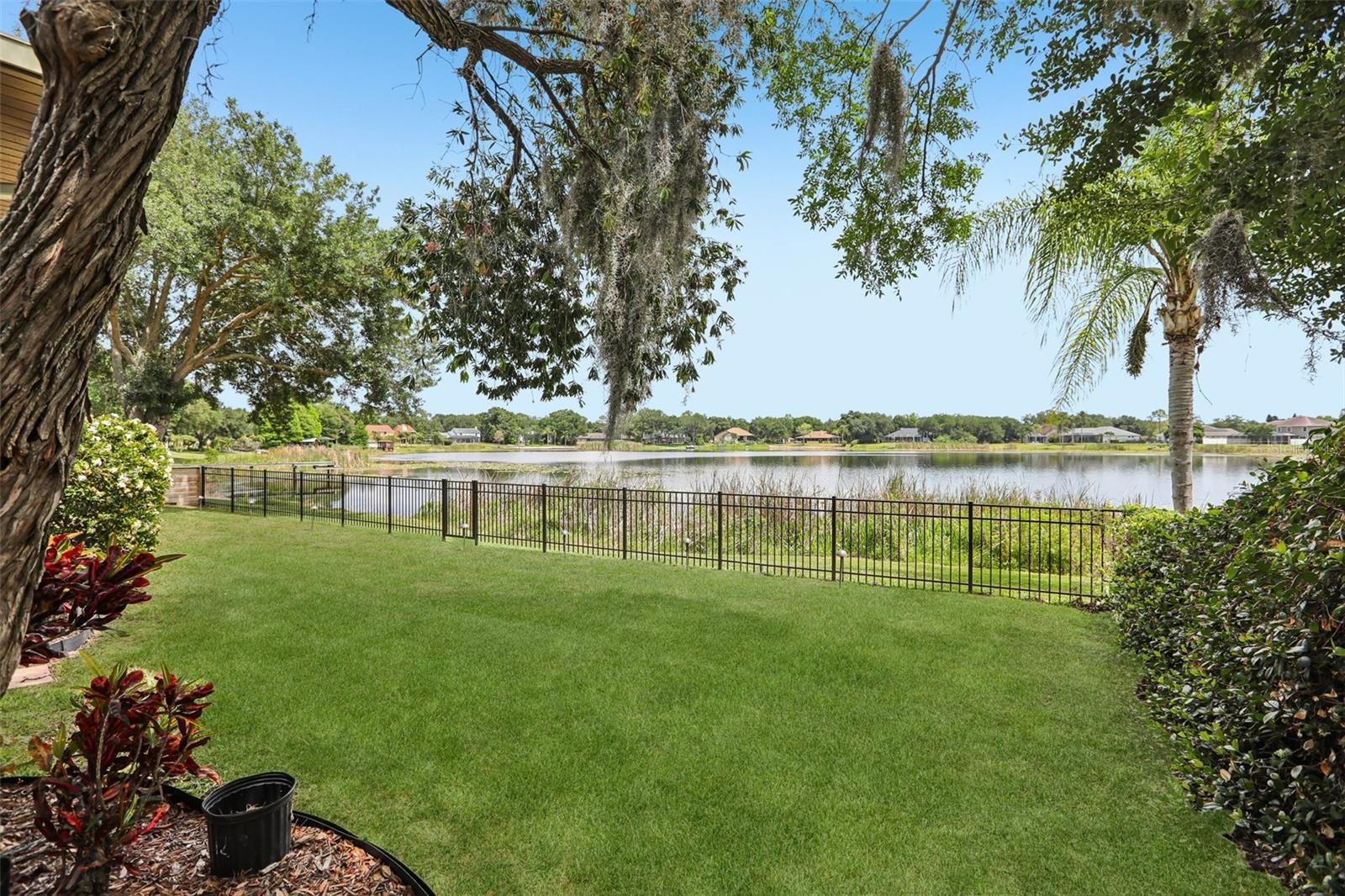 15720 BEREA DR, ODESSA, FL, 33556