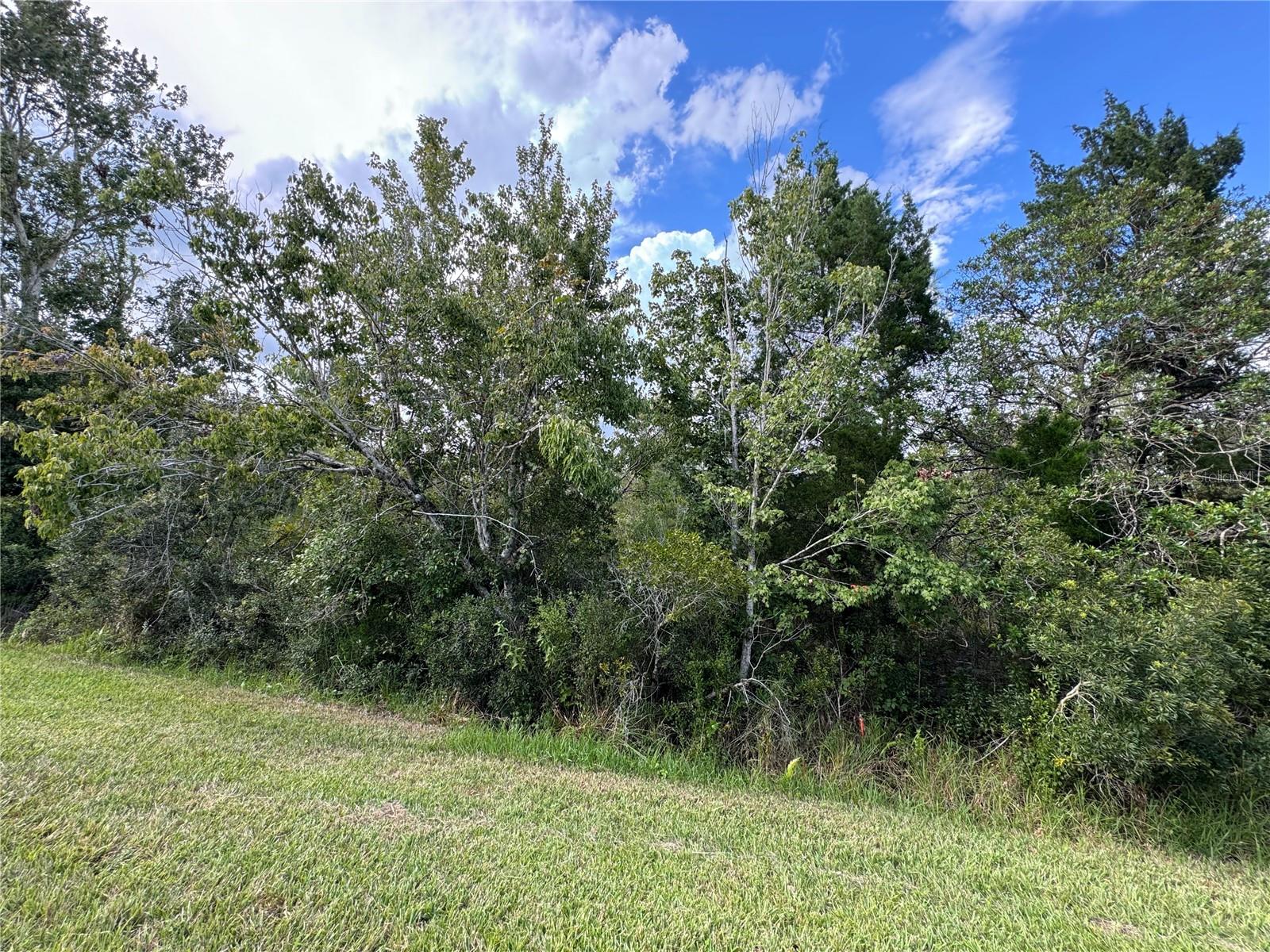 SHELDON ST, ORLANDO, FL, 32833