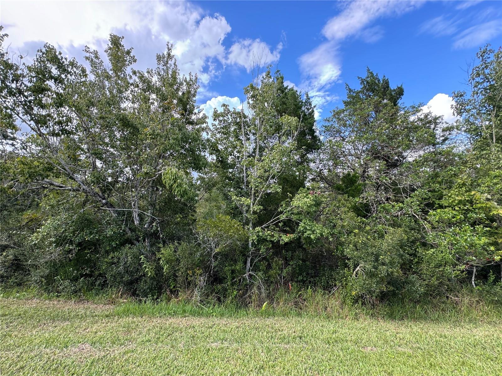 SHELDON ST, ORLANDO, FL, 32833