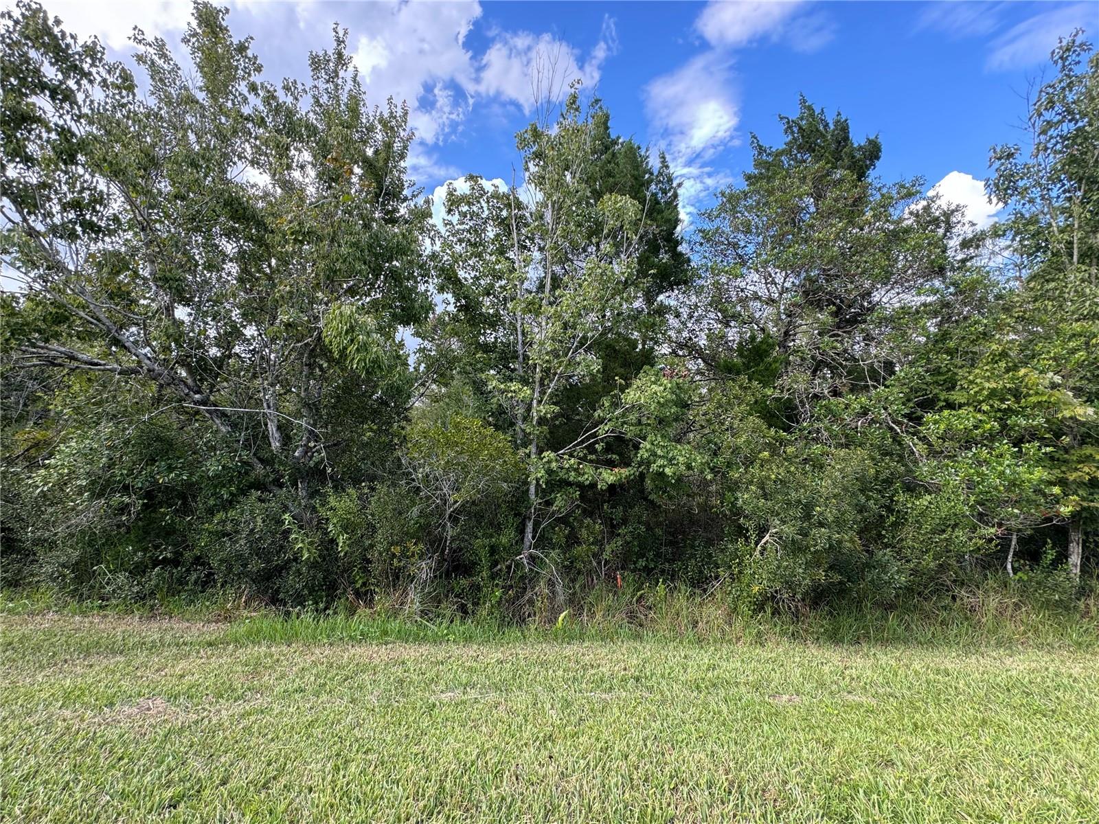 SHELDON ST, ORLANDO, FL, 32833