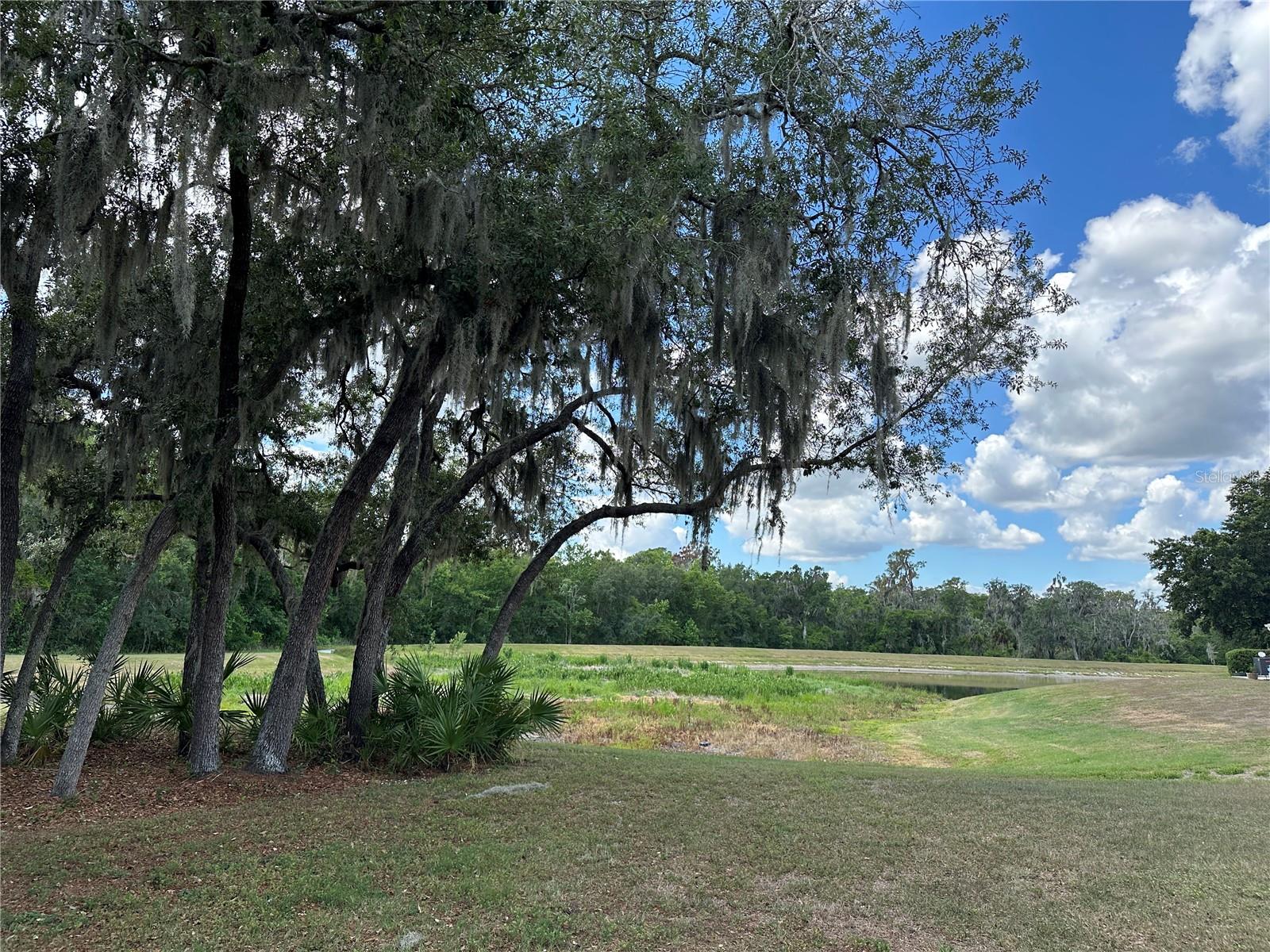 15816 FISHHAWK VIEW DR, LITHIA, FL, 33547