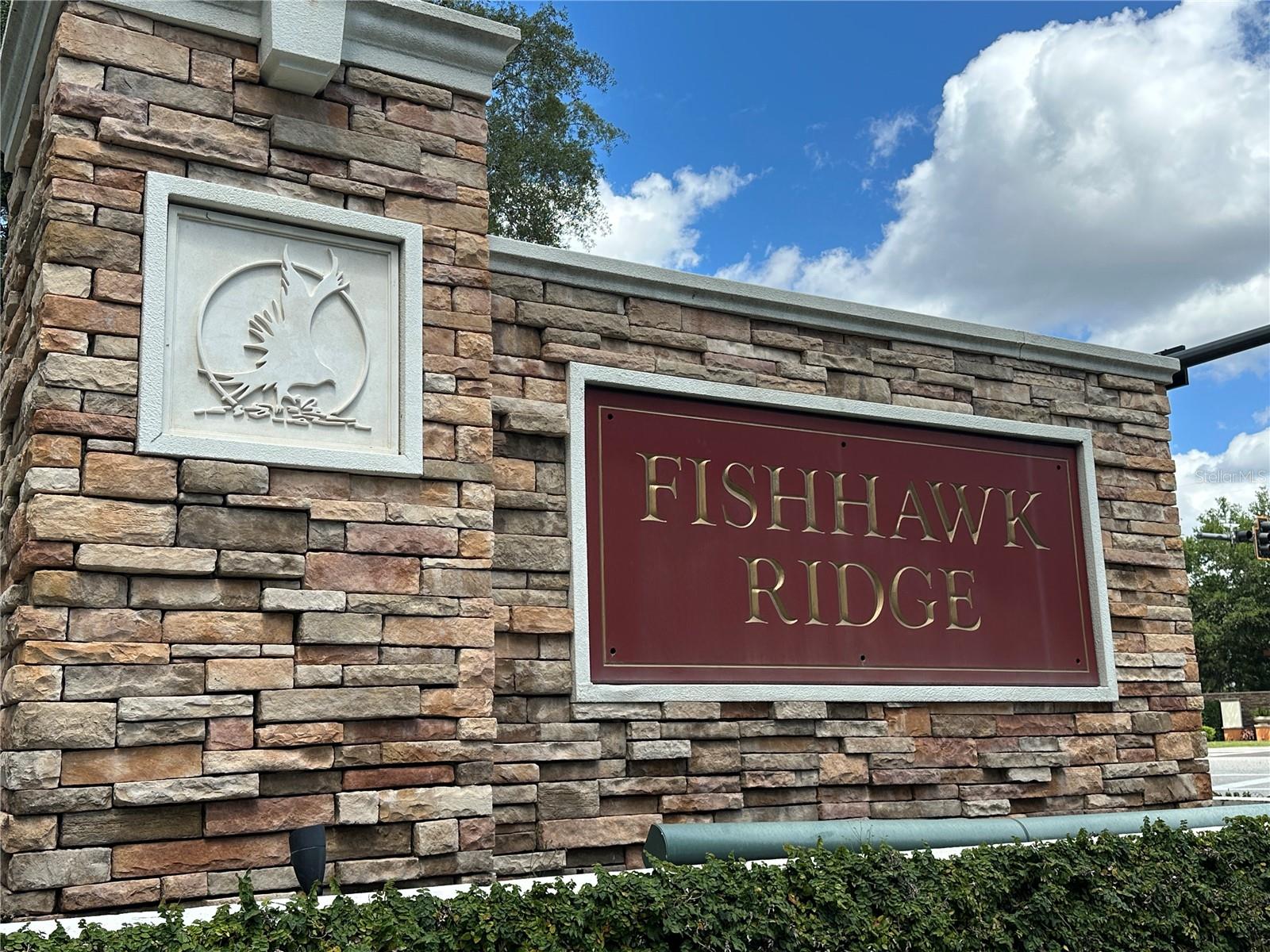 15816 FISHHAWK VIEW DR, LITHIA, FL, 33547