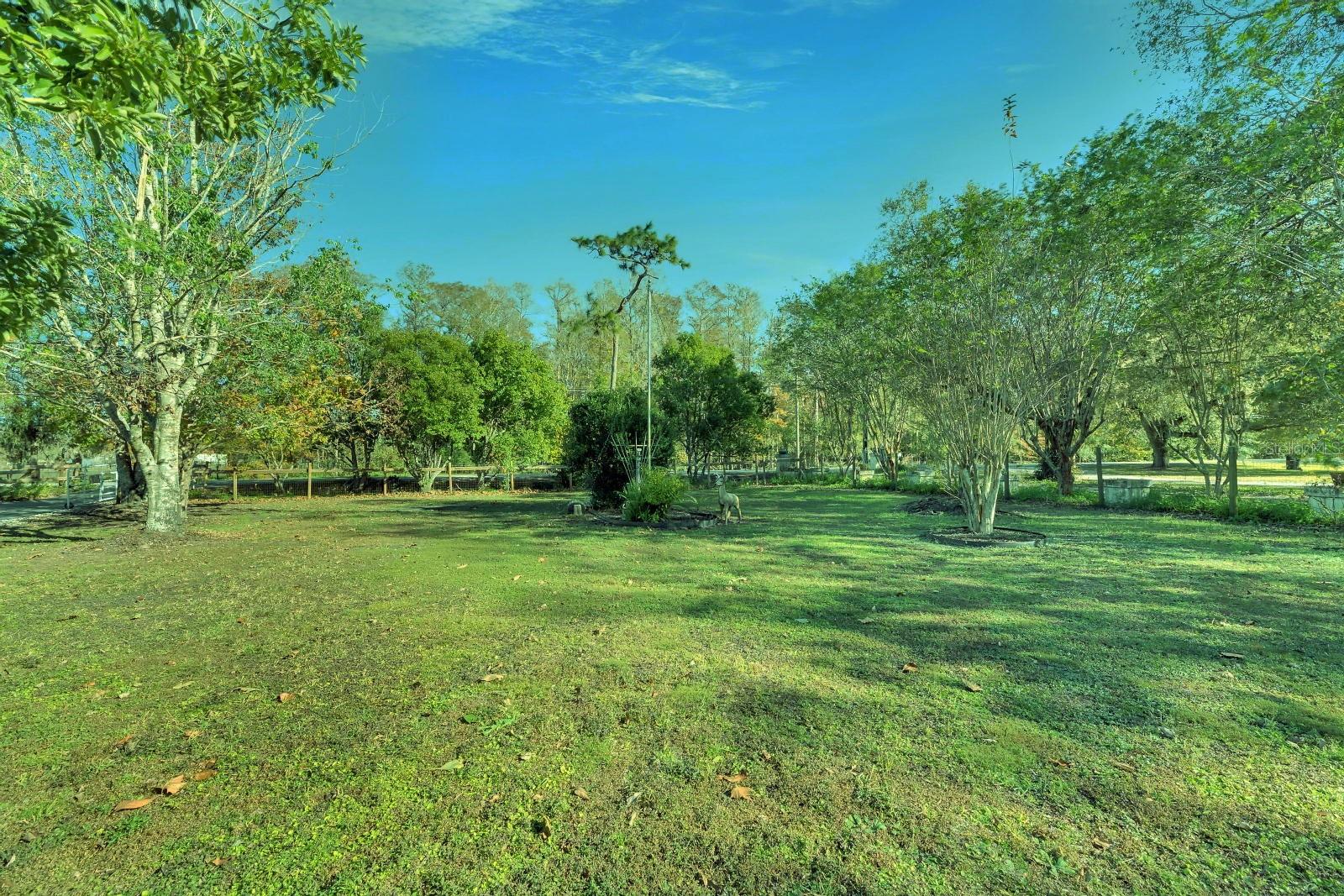 5201 PLESS RD, PLANT CITY, FL, 33565