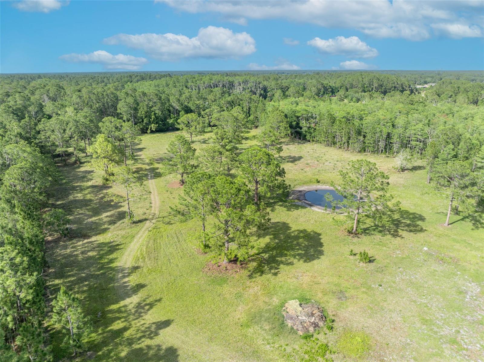 430 CYPRESS ISLES RD, OSTEEN, FL, 32764