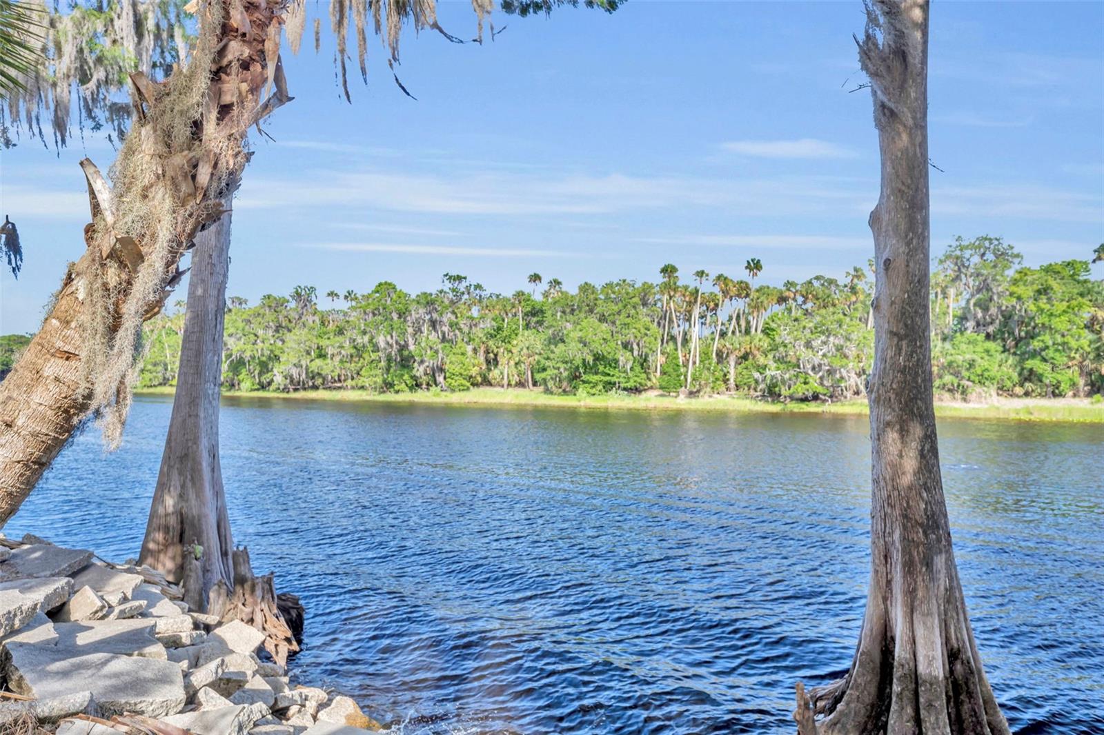 430 CYPRESS ISLES RD, OSTEEN, FL, 32764
