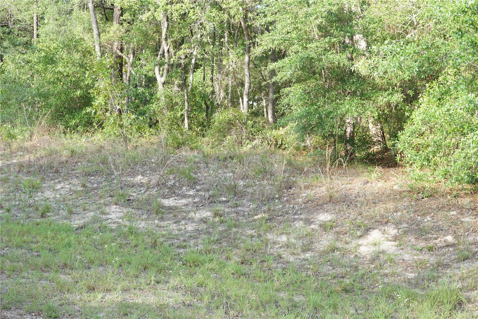 00 (TBD) SW 135 TERRACE RD, DUNNELLON, FL, 34432