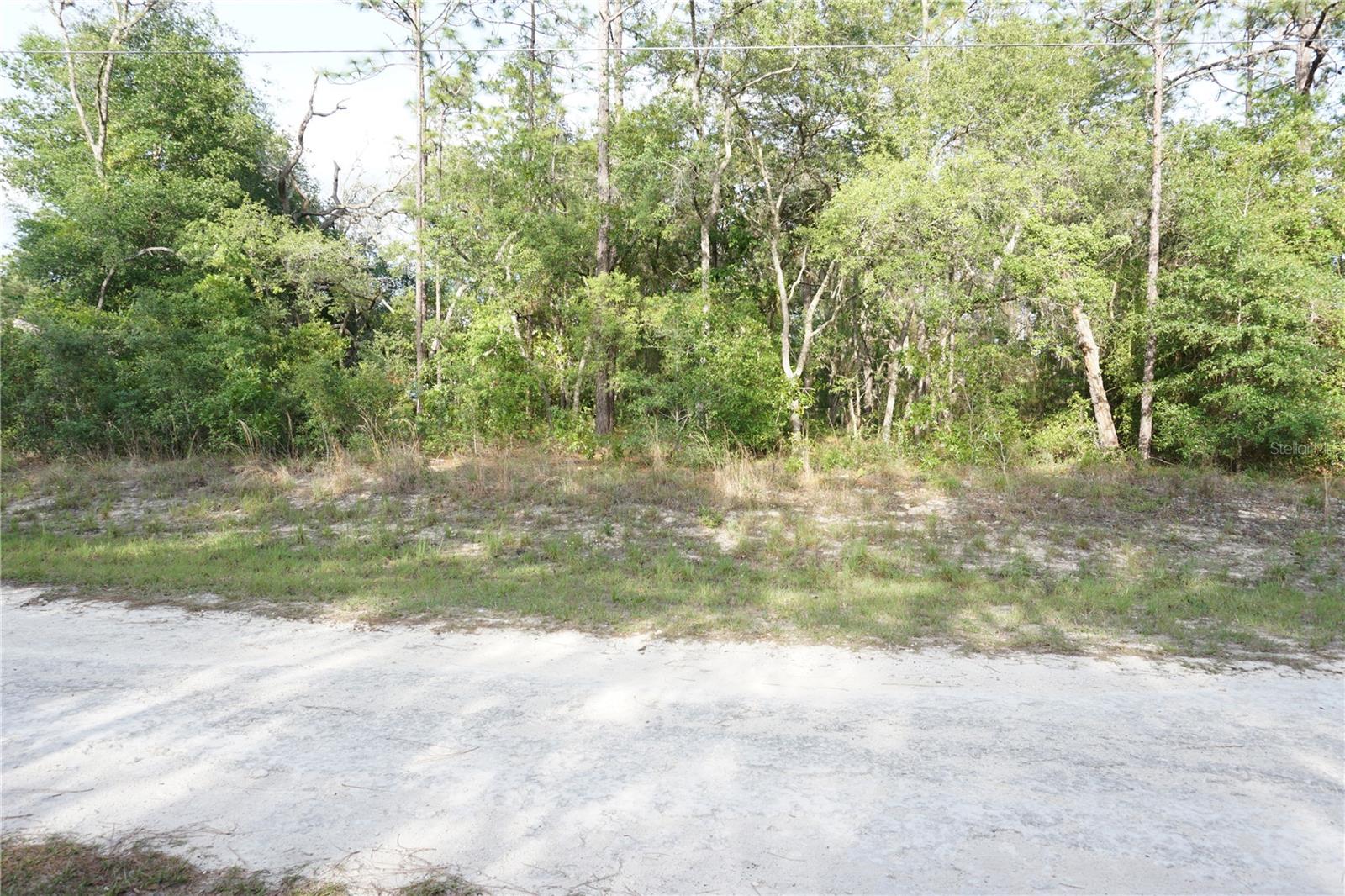 00 (TBD) SW 135 TERRACE RD, DUNNELLON, FL, 34432