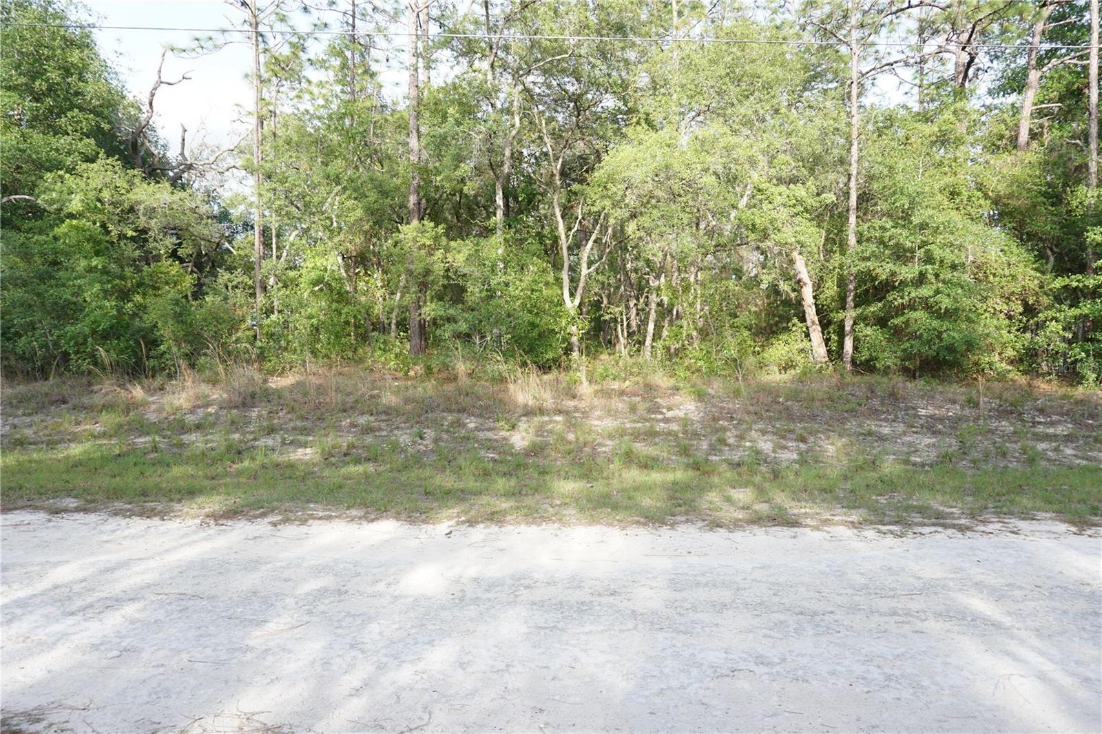 00 (TBD) SW 135 TERRACE RD, DUNNELLON, FL, 34432