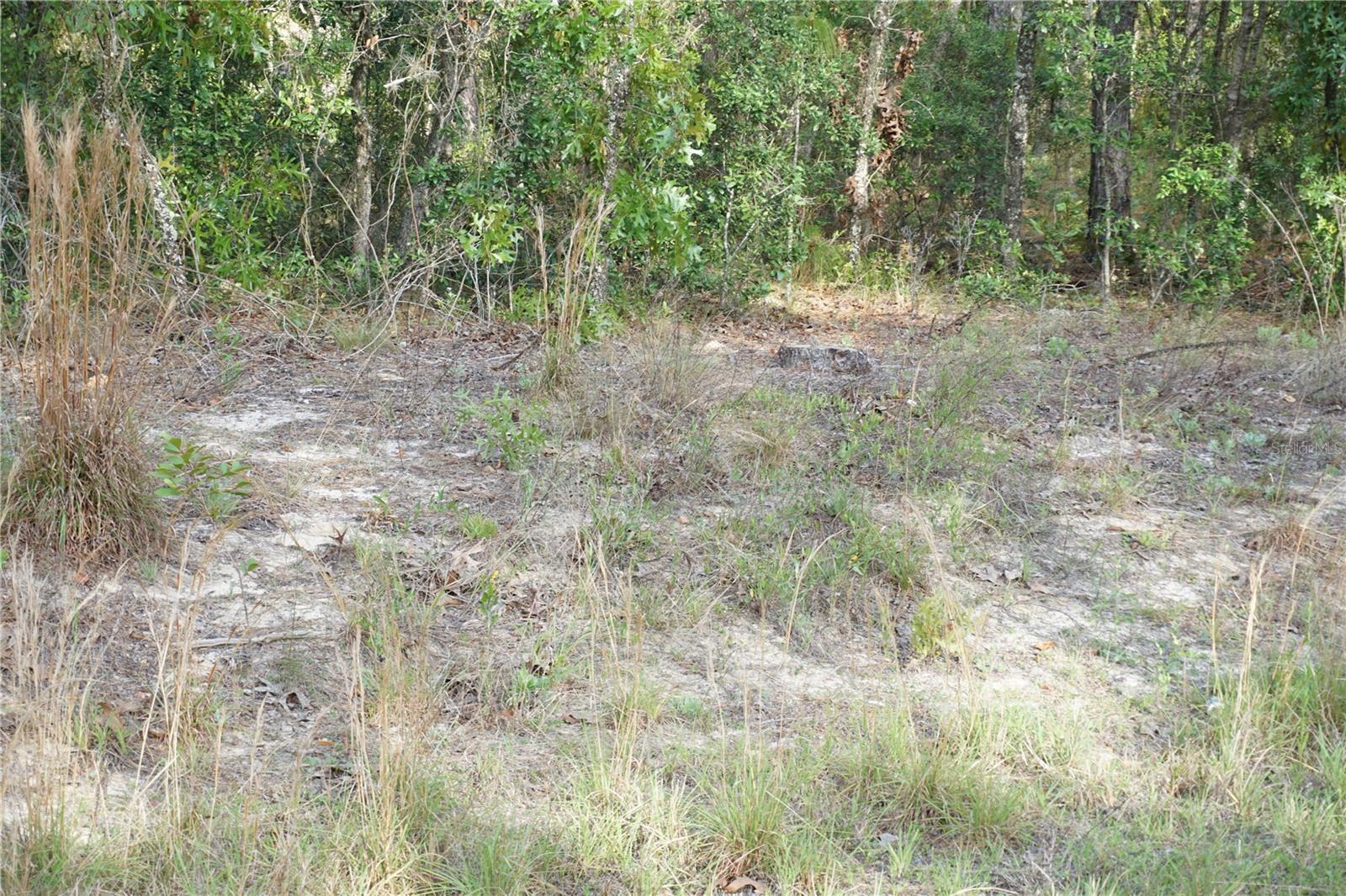 00 (TBD) SW 135 TERRACE RD, DUNNELLON, FL, 34432