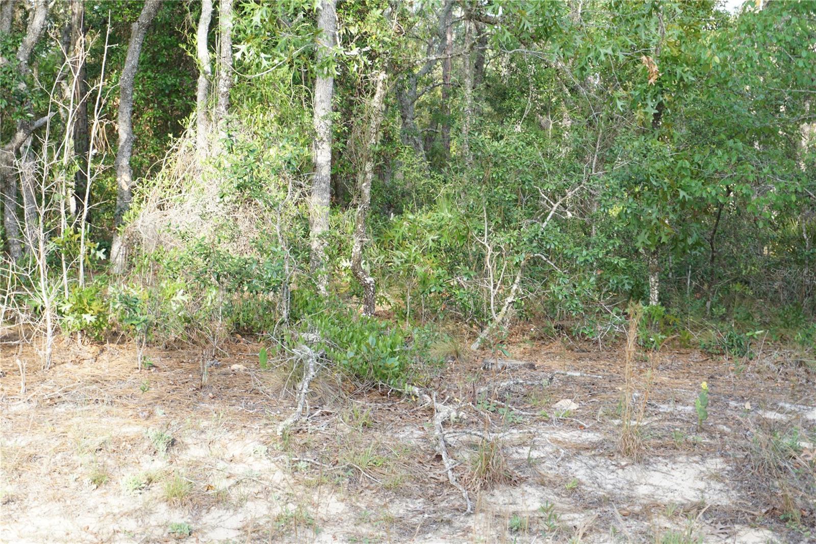 00 (TBD) SW 135 TERRACE RD, DUNNELLON, FL, 34432
