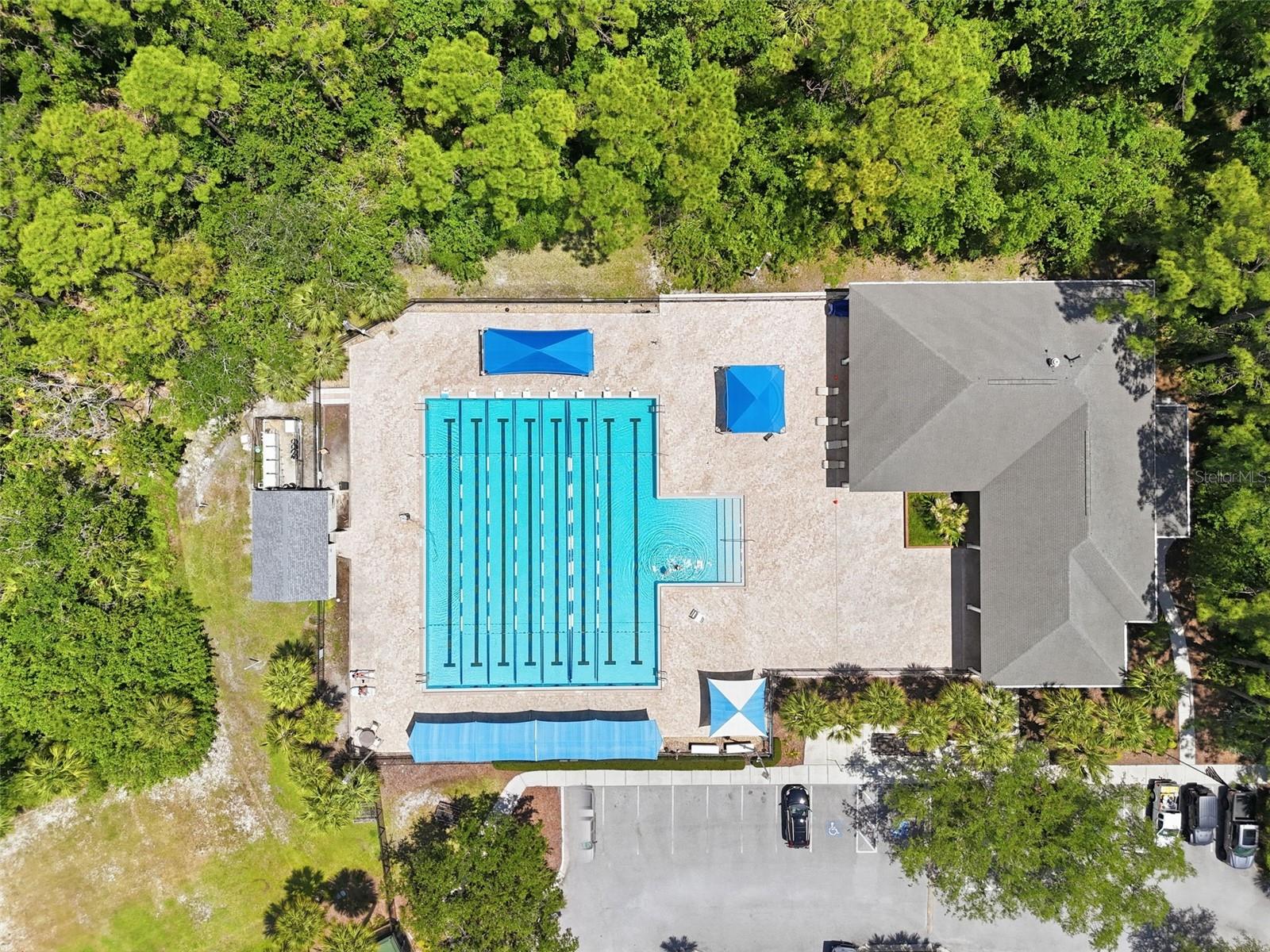 10111 HAYFIELD WAY, TAMPA, FL, 33626