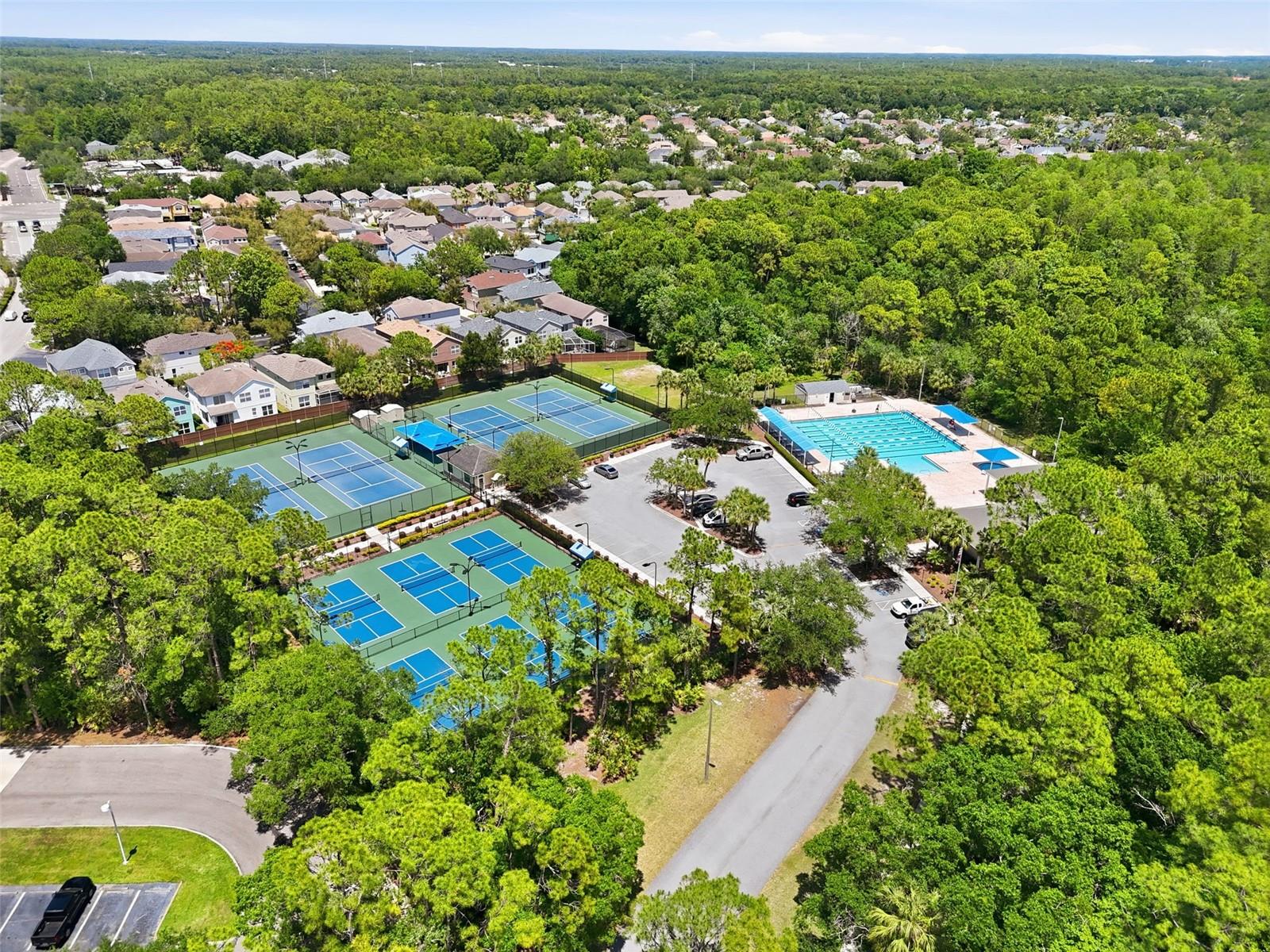 10111 HAYFIELD WAY, TAMPA, FL, 33626