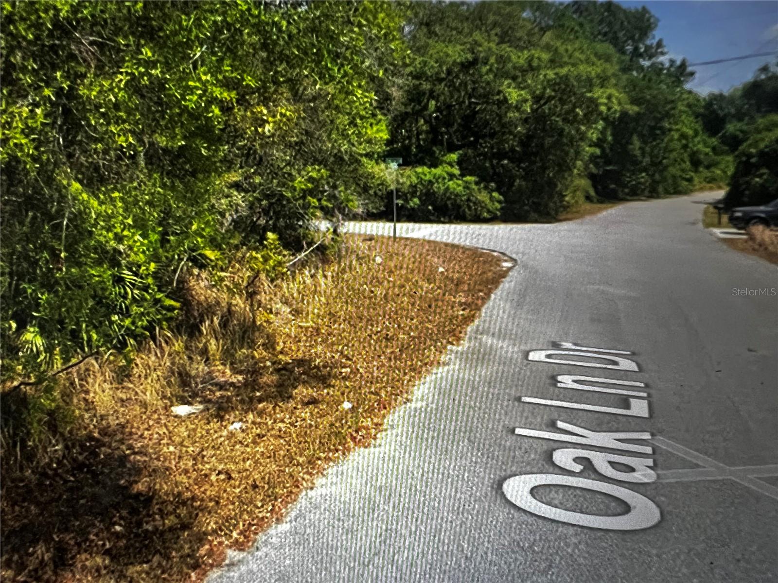 293 OAK LANE DR., OCALA, FL, 34472