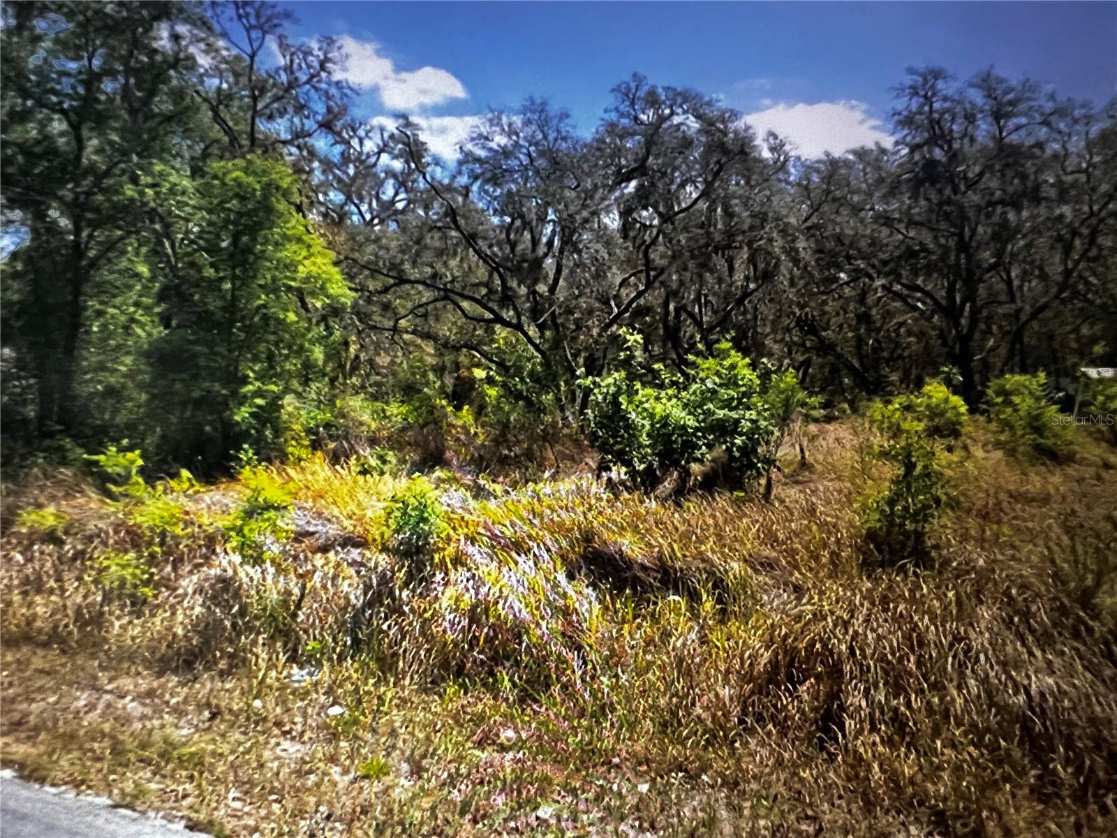 293 OAK LANE DR., OCALA, FL, 34472