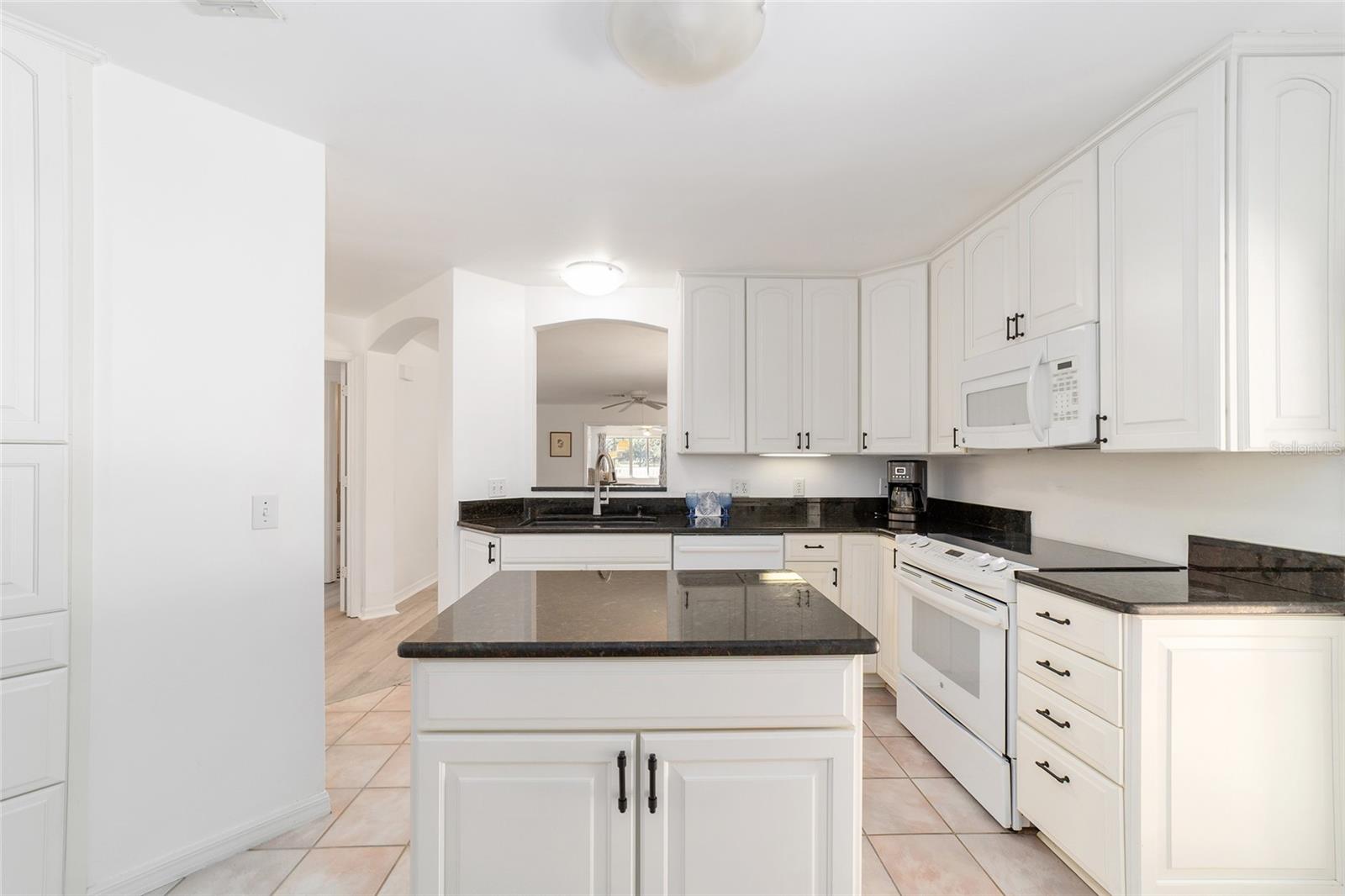 1132 BERNARDO BLVD, THE VILLAGES, FL, 32159