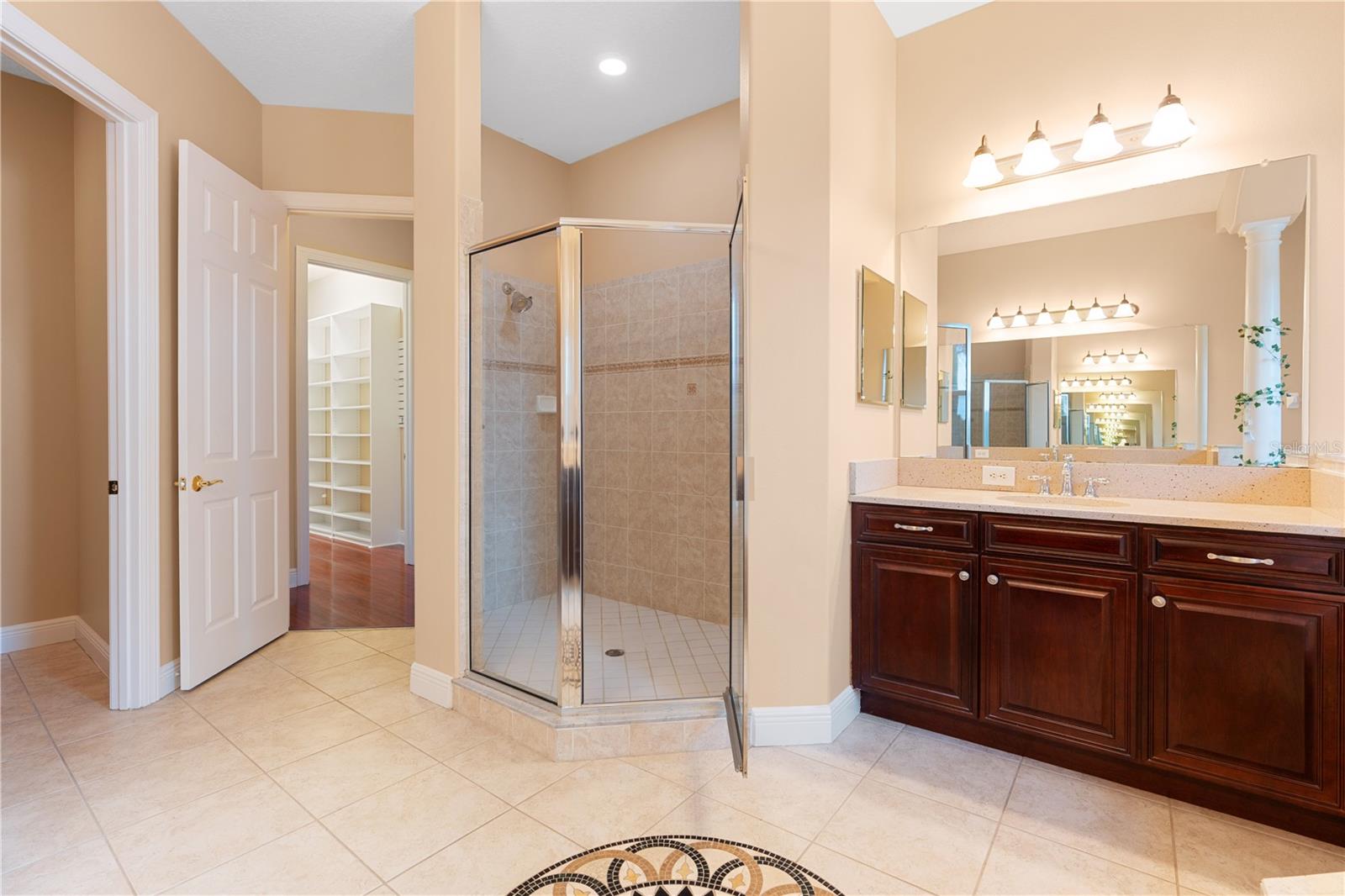 10603 CAYMAN ISLE CT, TAMPA, FL, 33647