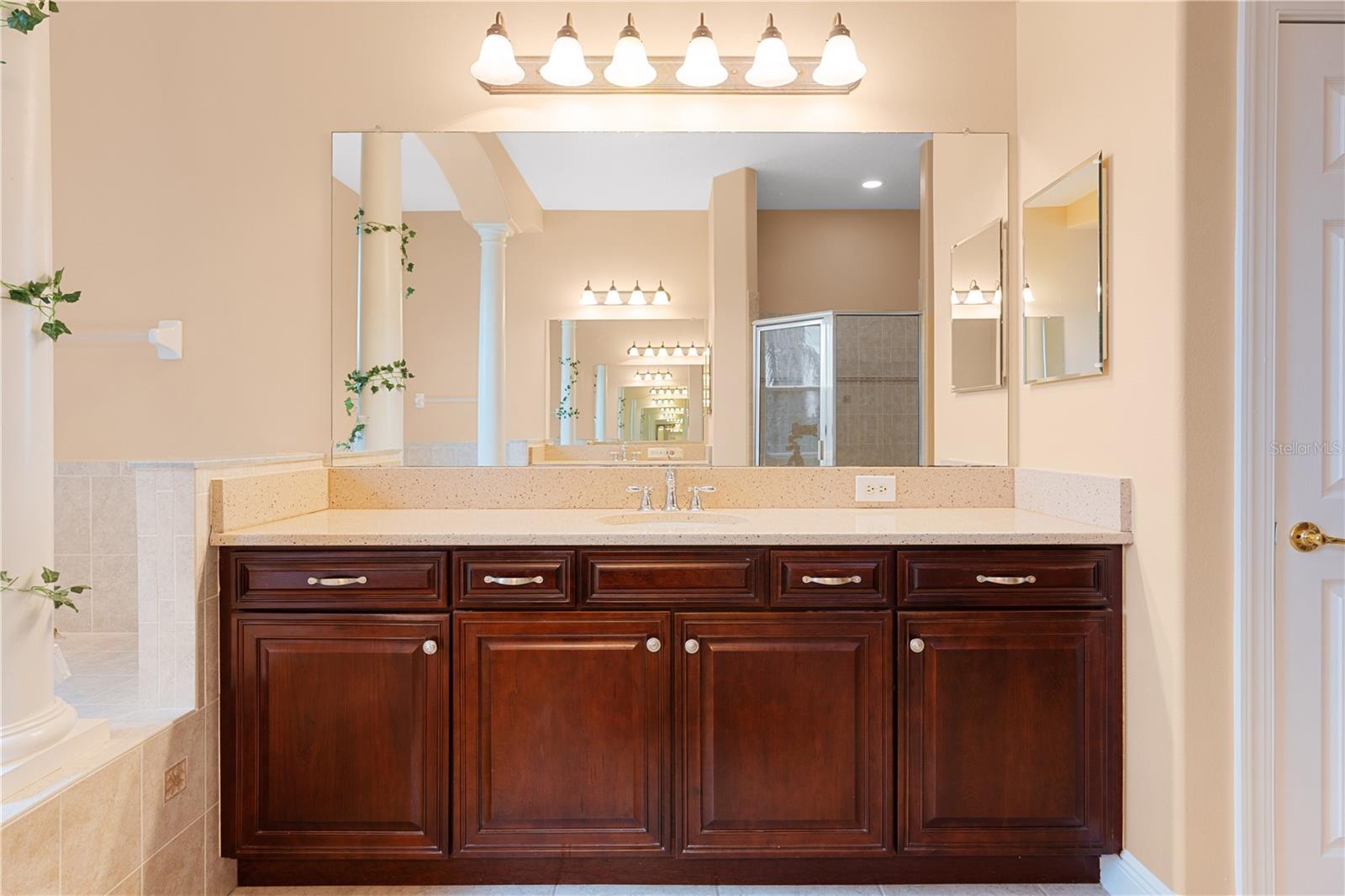 10603 CAYMAN ISLE CT, TAMPA, FL, 33647