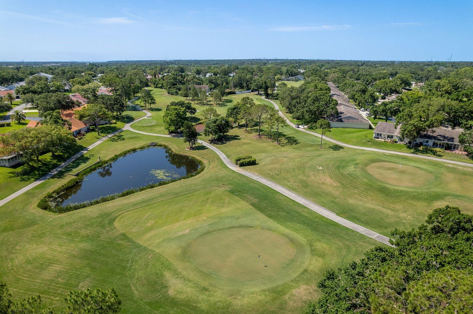 3836 TARPON POINTE CIR, PALM HARBOR, FL, 34684