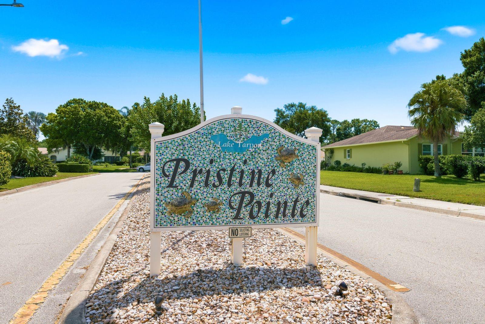 3836 TARPON POINTE CIR, PALM HARBOR, FL, 34684