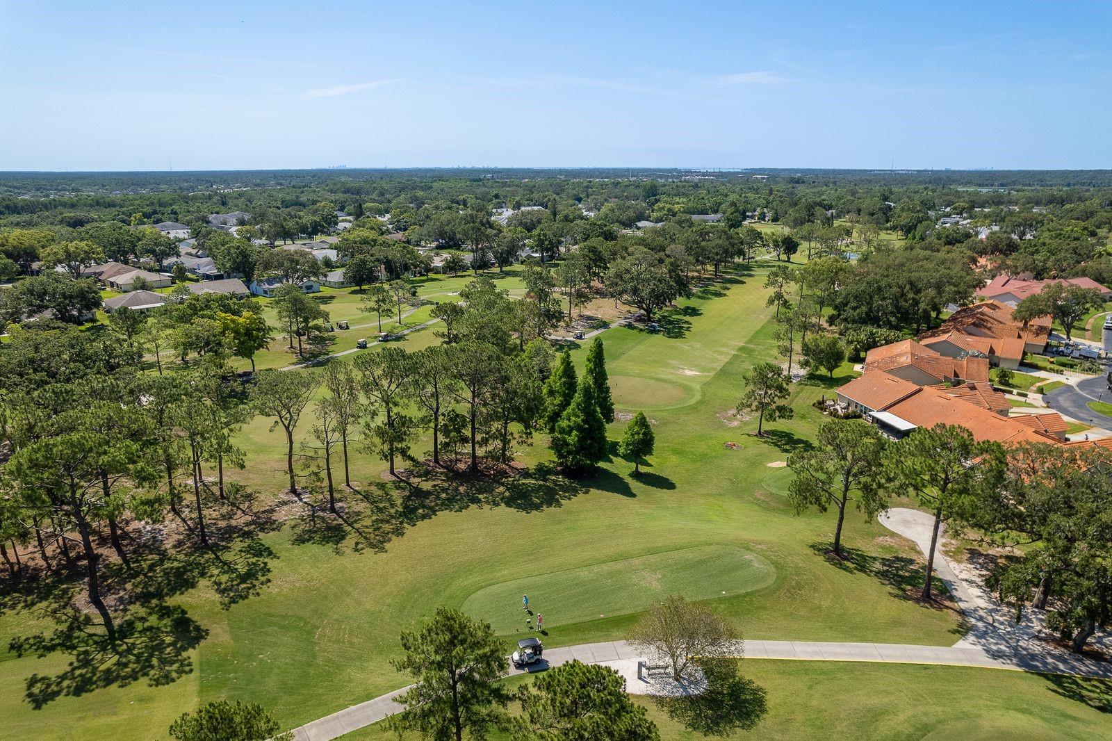 3836 TARPON POINTE CIR, PALM HARBOR, FL, 34684