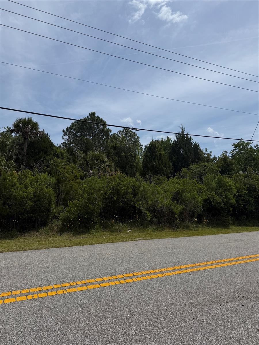 176 BIRD OF PARADISE DR, PALM COAST, FL, 32137