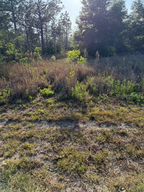 0 SW 142 CT, OCALA, FL, 34481