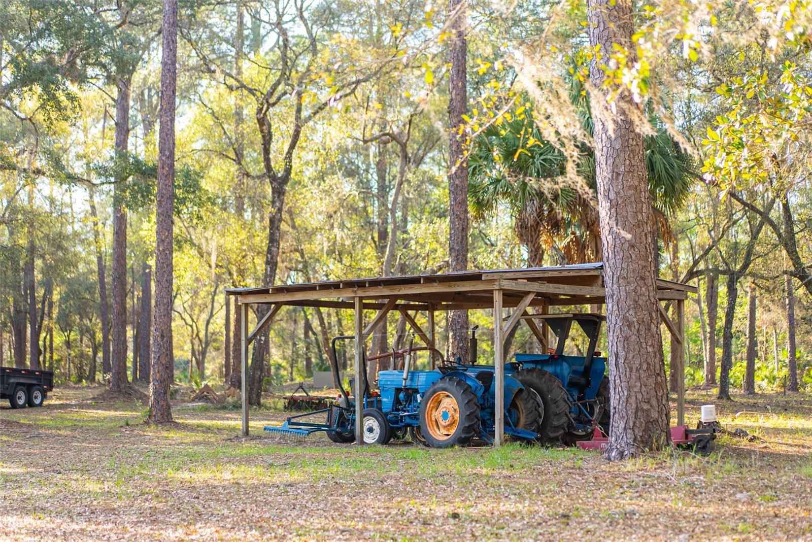 8600 NE 147TH AVENUE RD, SILVER SPRINGS, FL, 34488