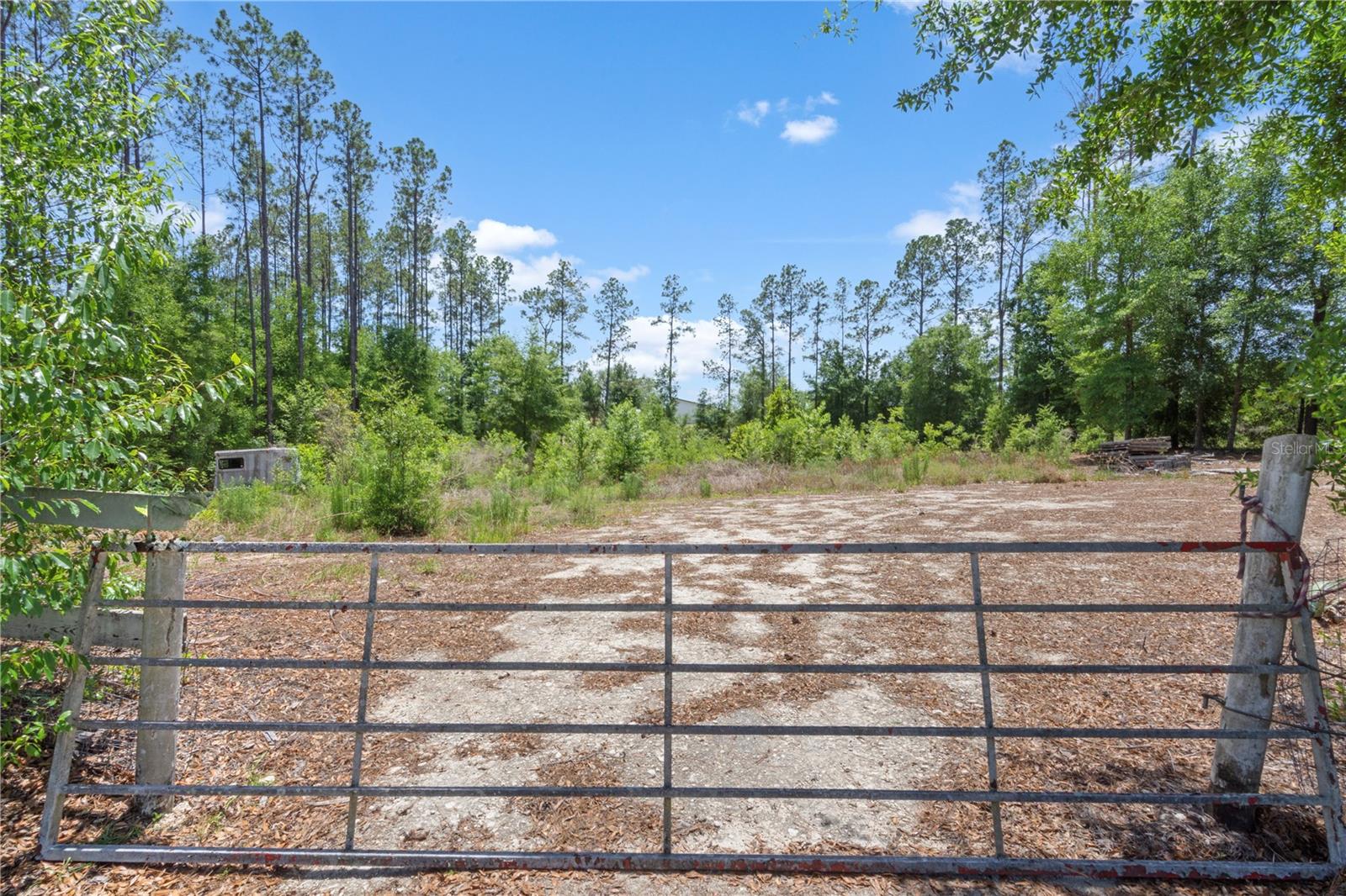 17950 SE 60TH LN, MORRISTON, FL, 32668